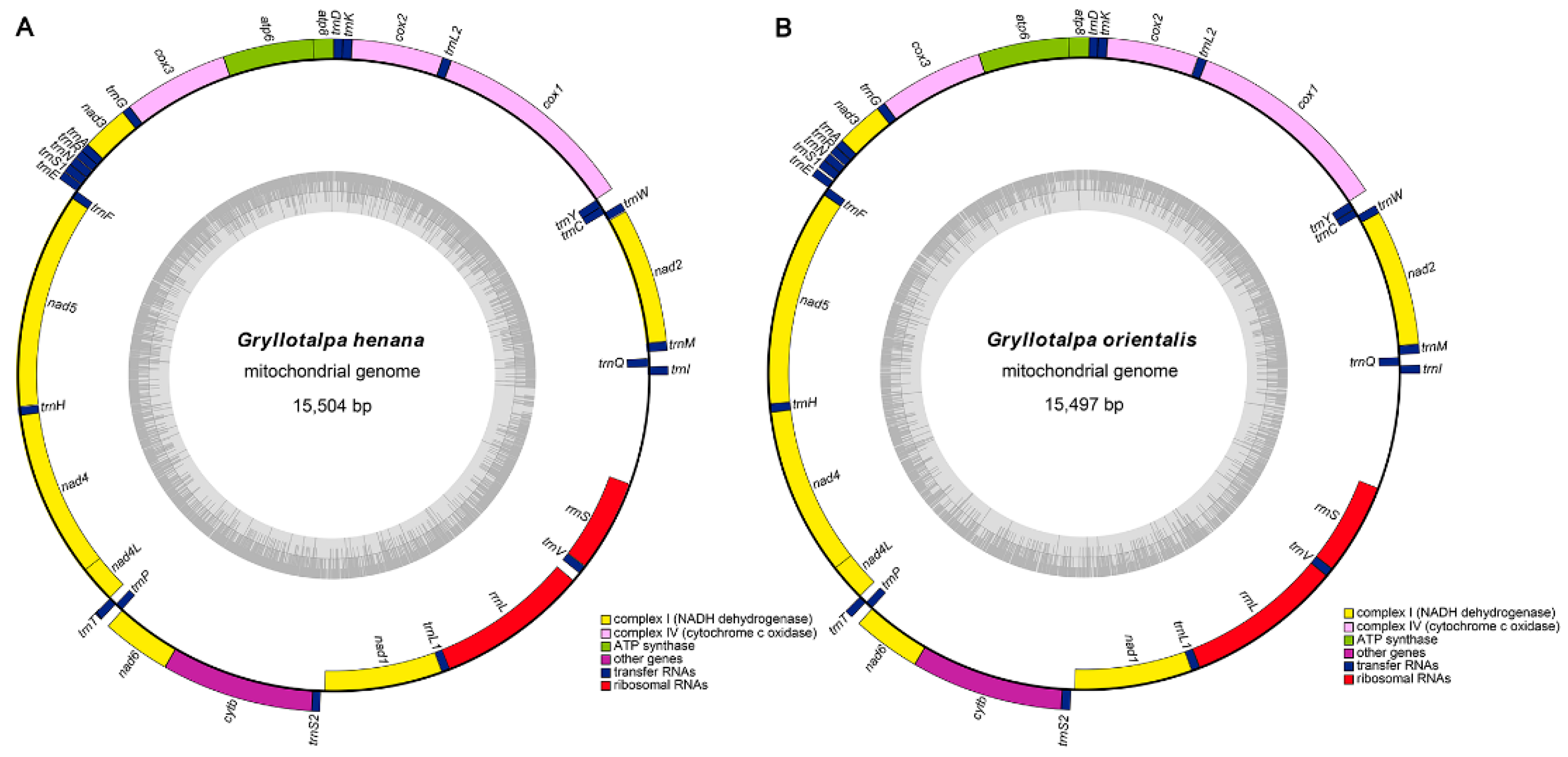 Insects 13 00919 g001