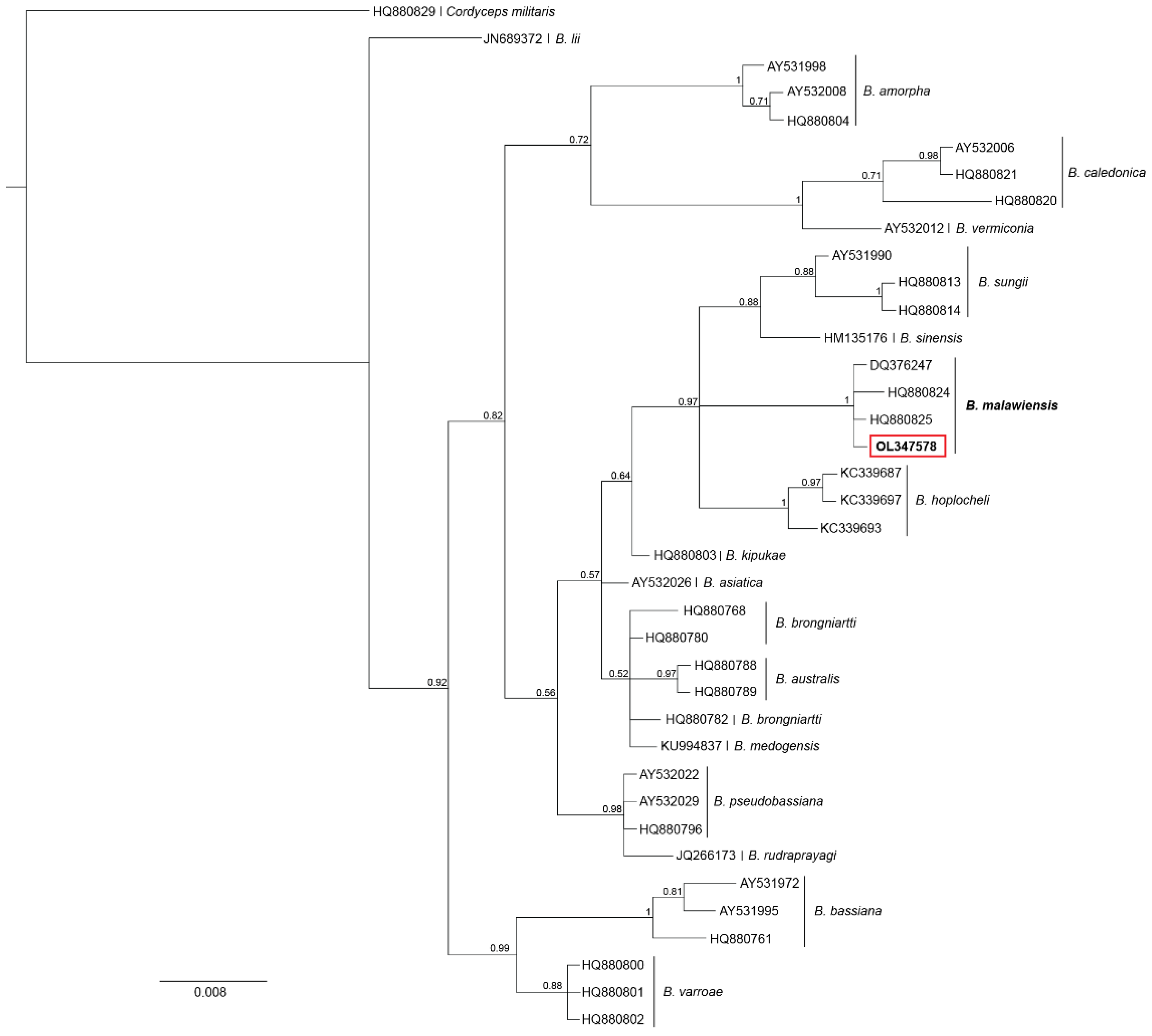 Insects 13 00922 g003