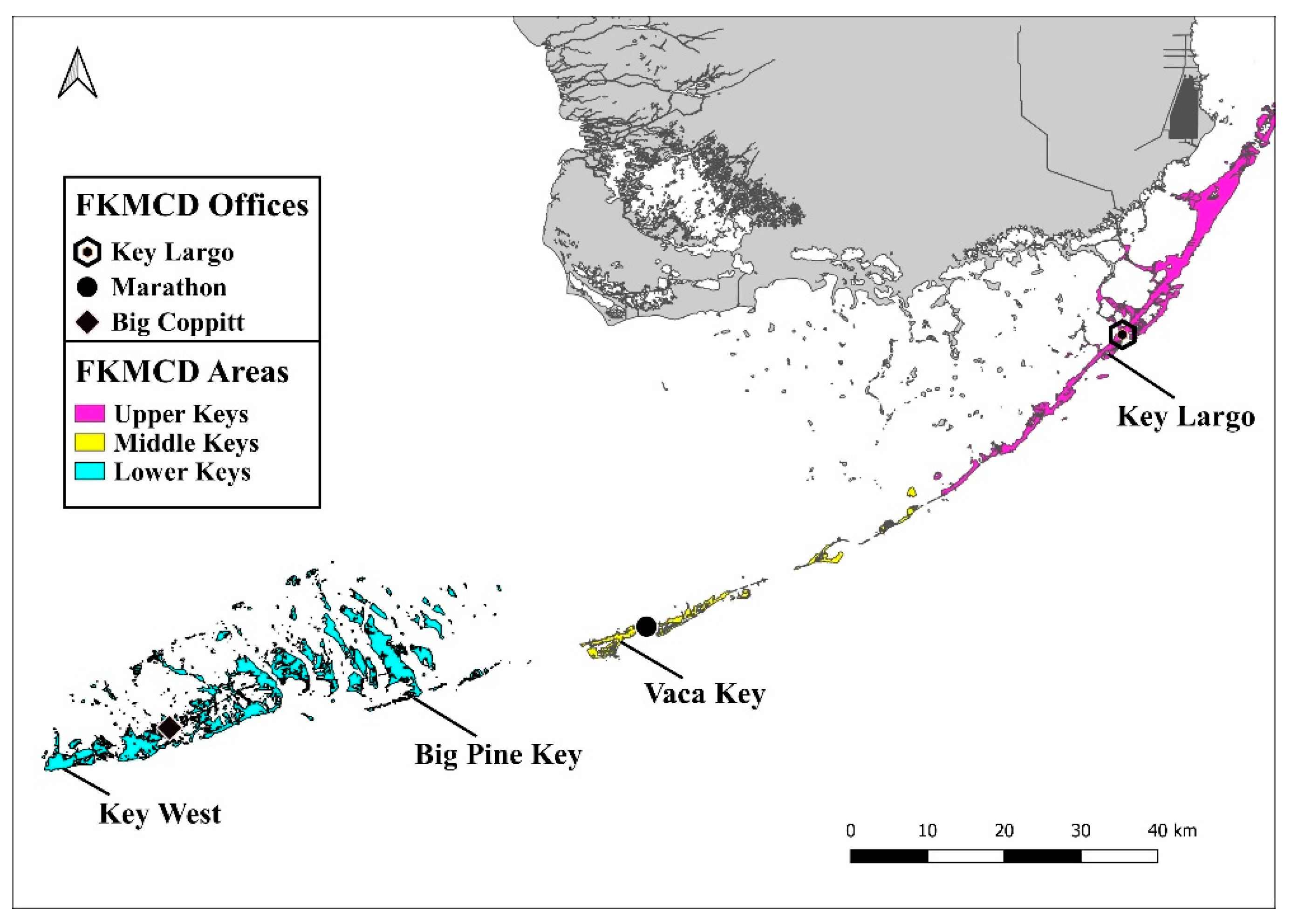 Insects 13 00927 g001