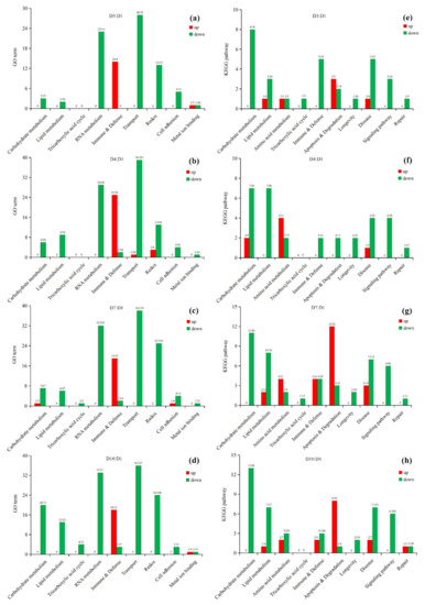 Insects 13 00936 g004
