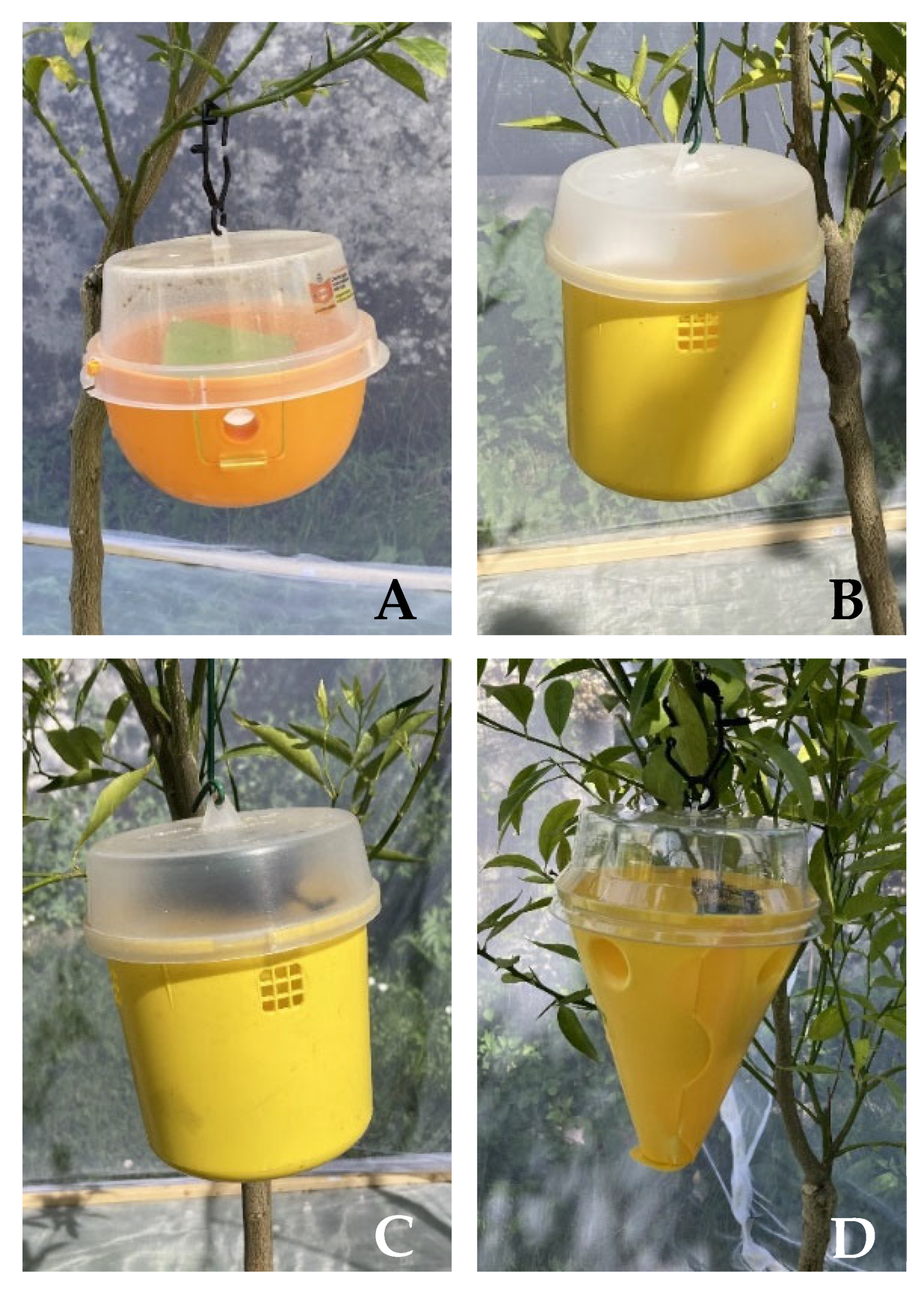 Insects 13 00941 g001