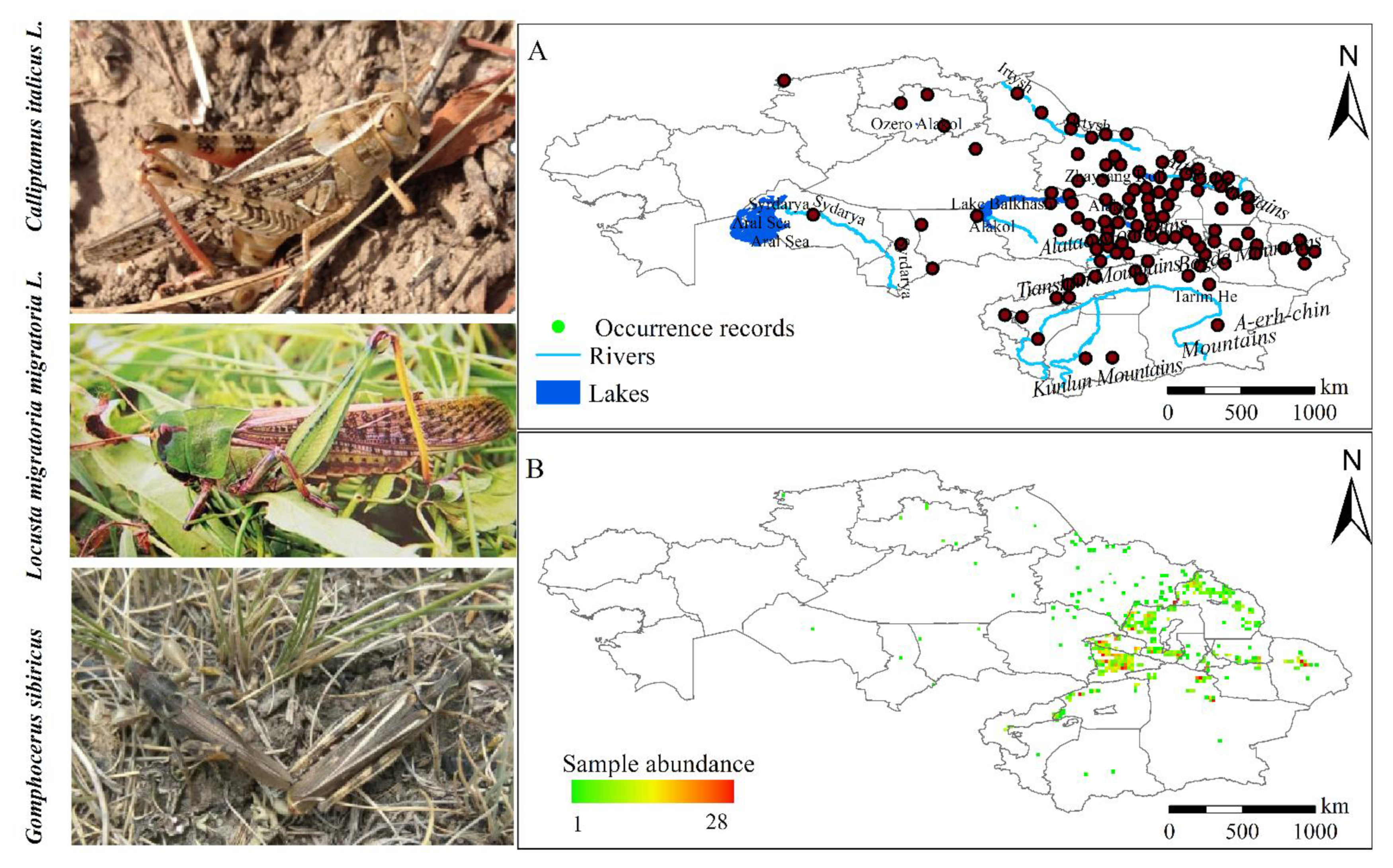 Insects 13 00942 g001