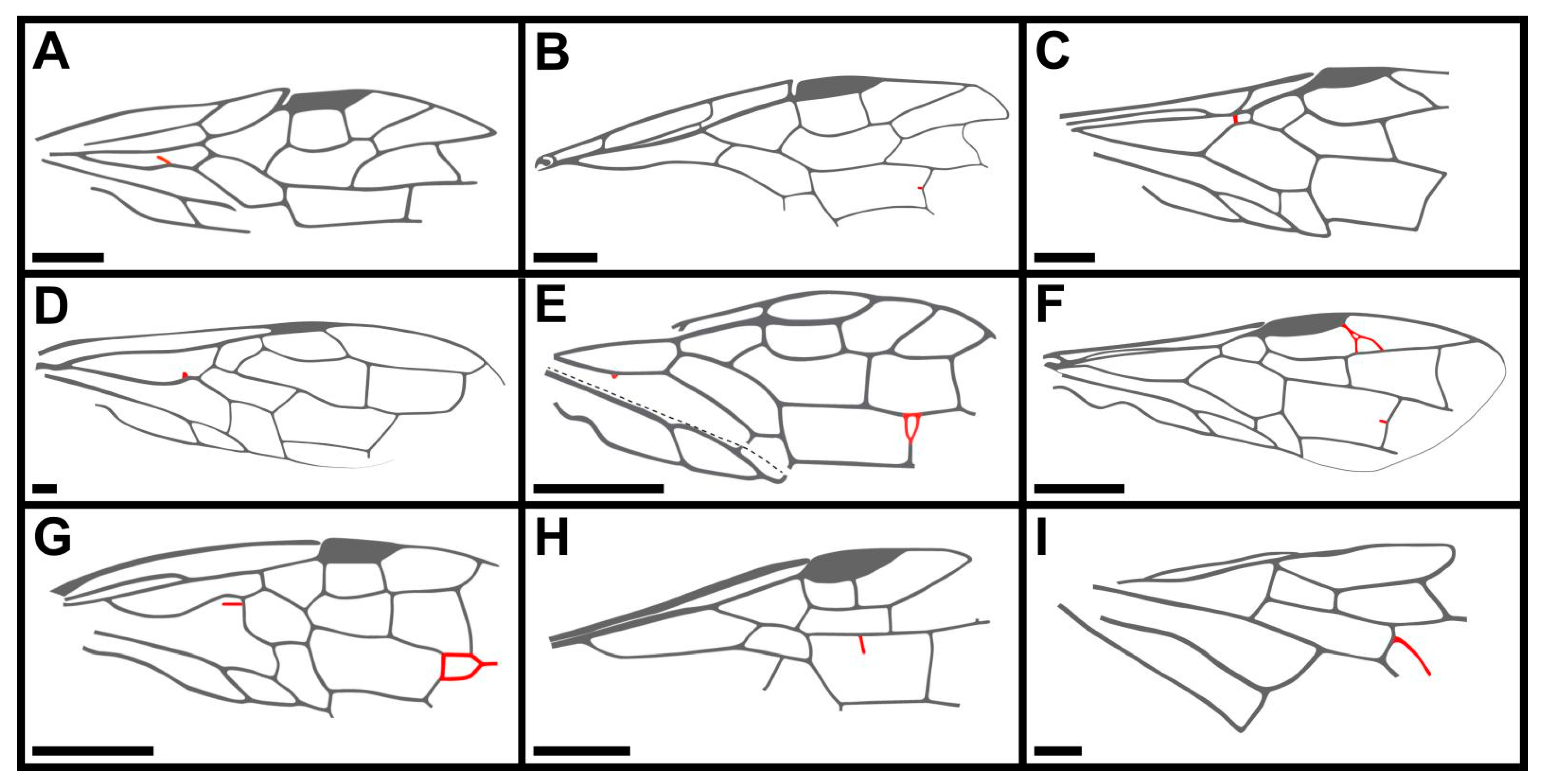 Insects 13 00947 g006