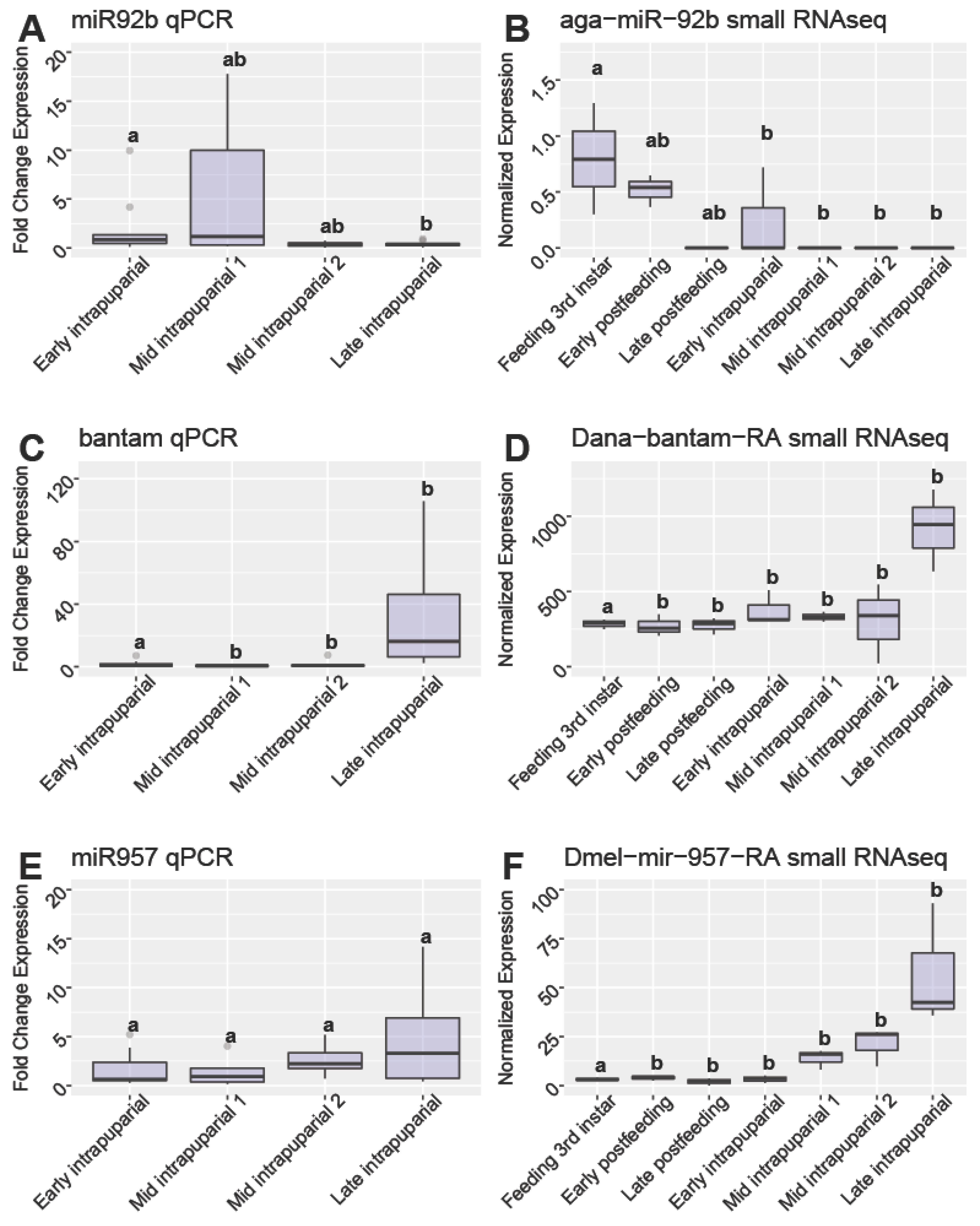 Insects 13 00948 g005