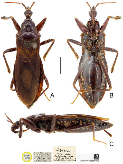 Insects 13 00951 g003