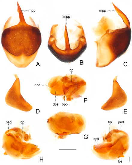 Insects 13 00951 g005