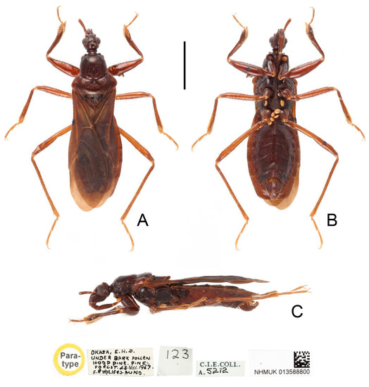 Insects 13 00951 g007