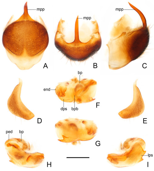 Insects 13 00951 g009