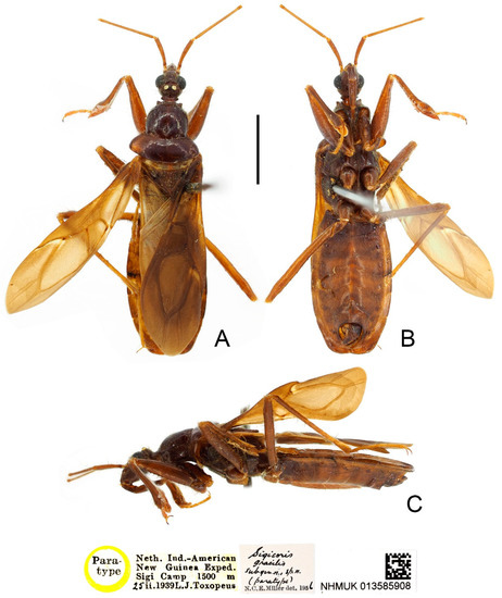 Insects 13 00951 g010