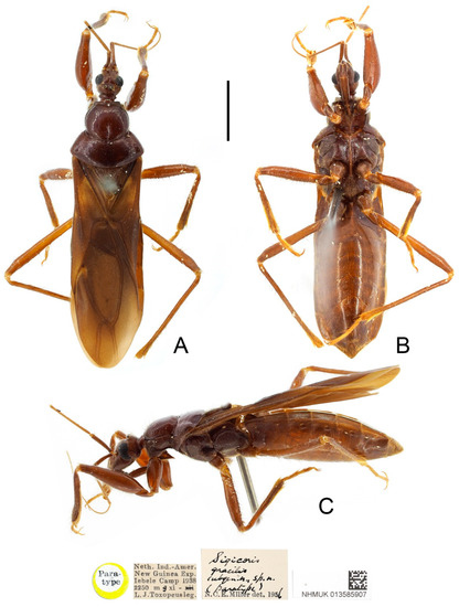 Insects 13 00951 g011