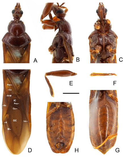 Insects 13 00951 g012