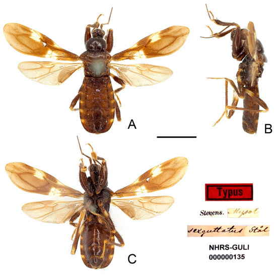 Insects 13 00951 g013