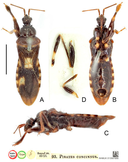 Insects 13 00951 g014