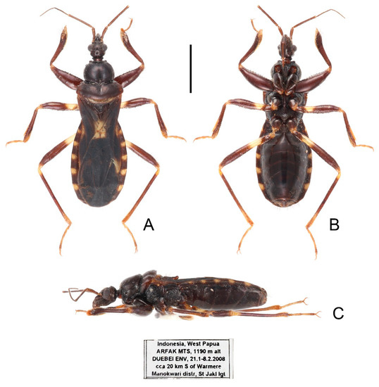 Insects 13 00951 g015