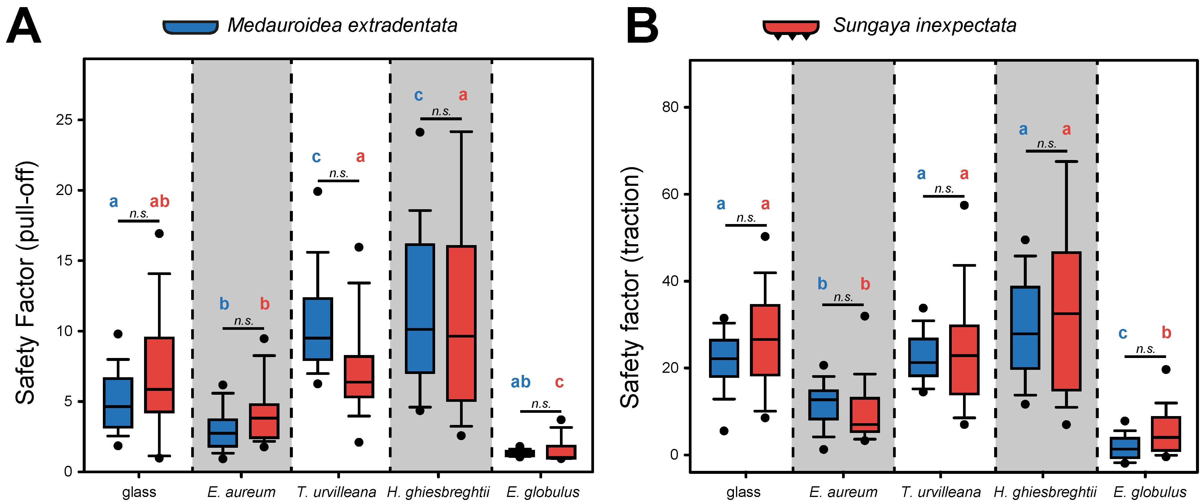 Insects 13 00952 g004