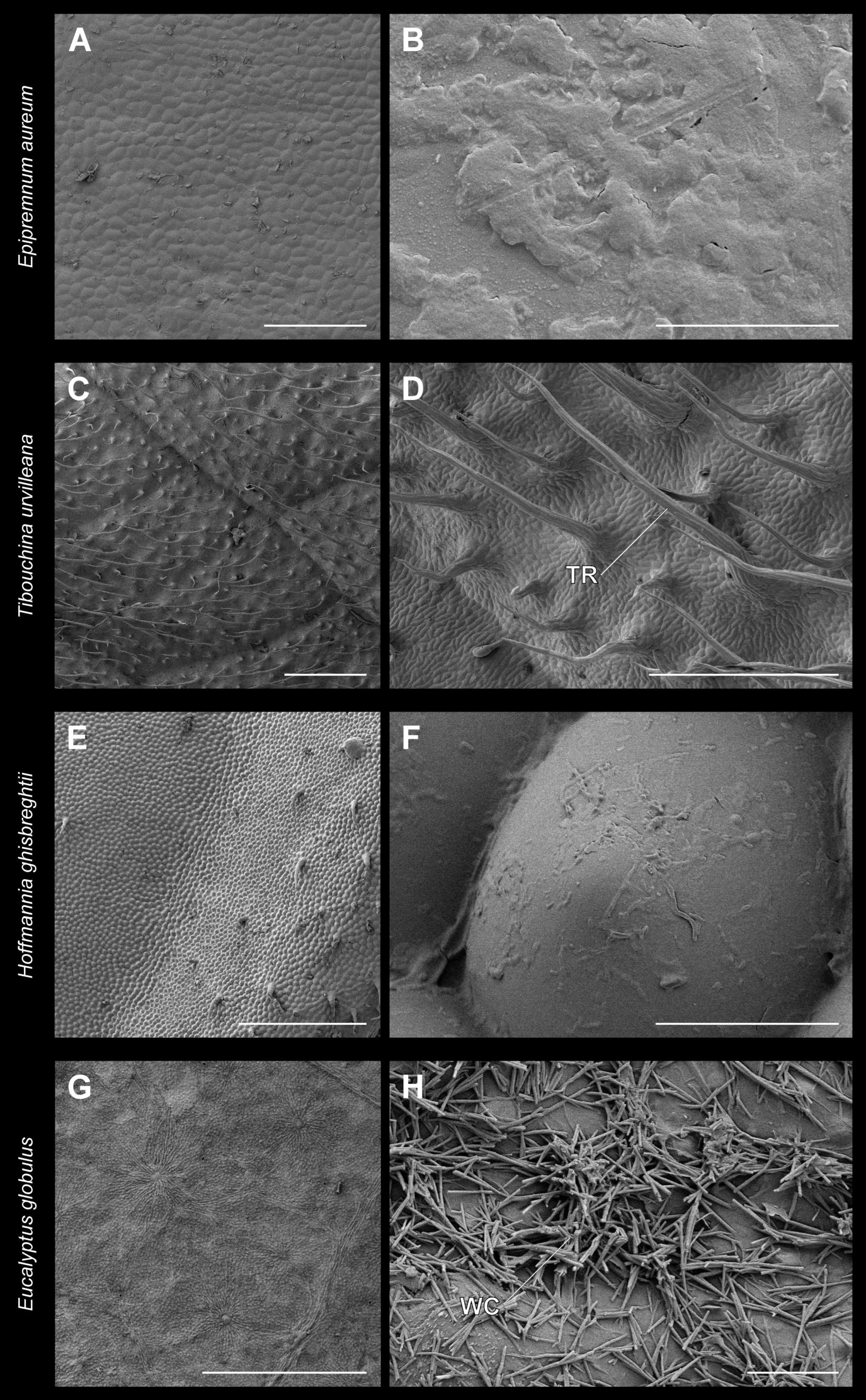 Insects 13 00952 g008