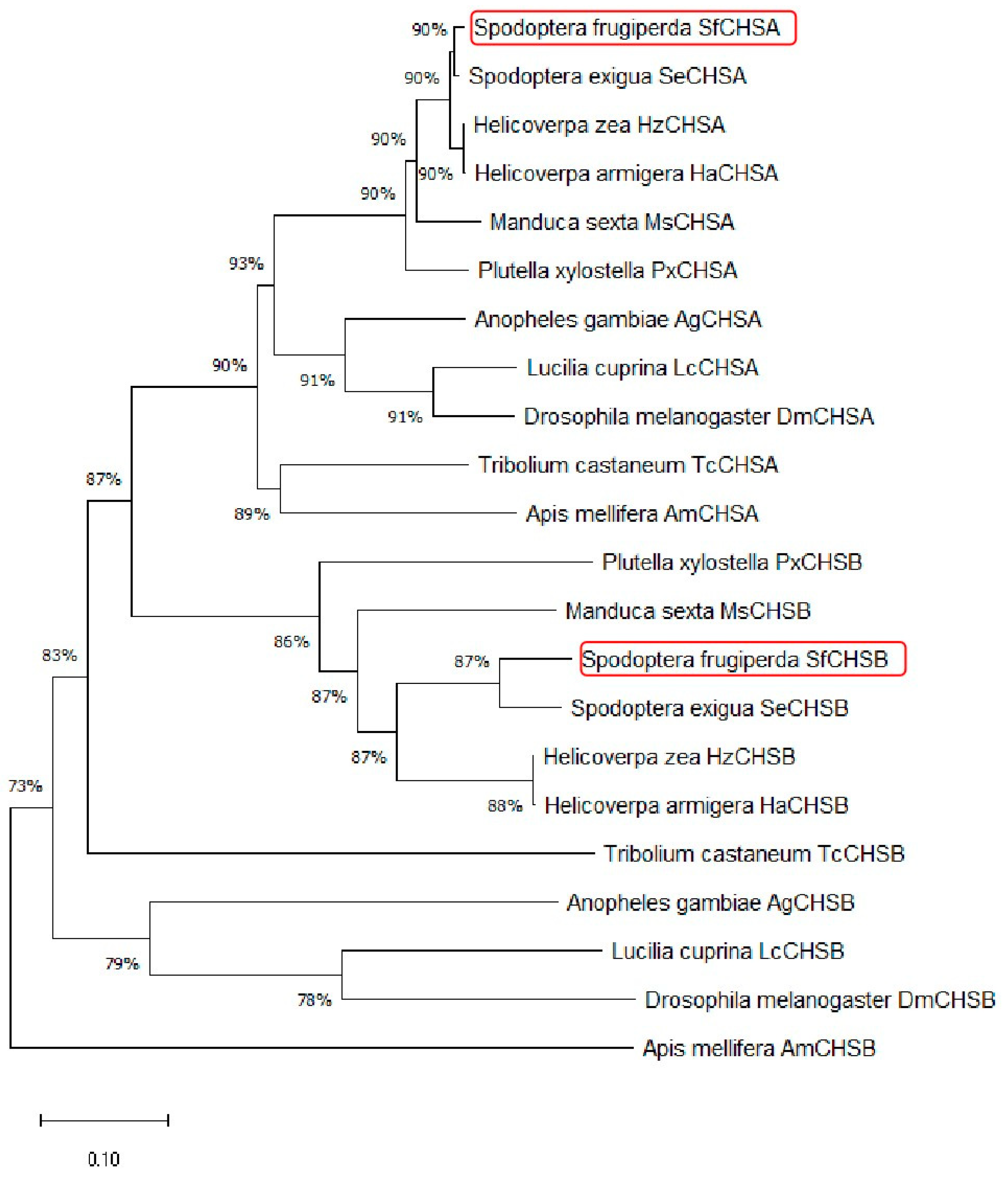 Insects 13 00963 g001