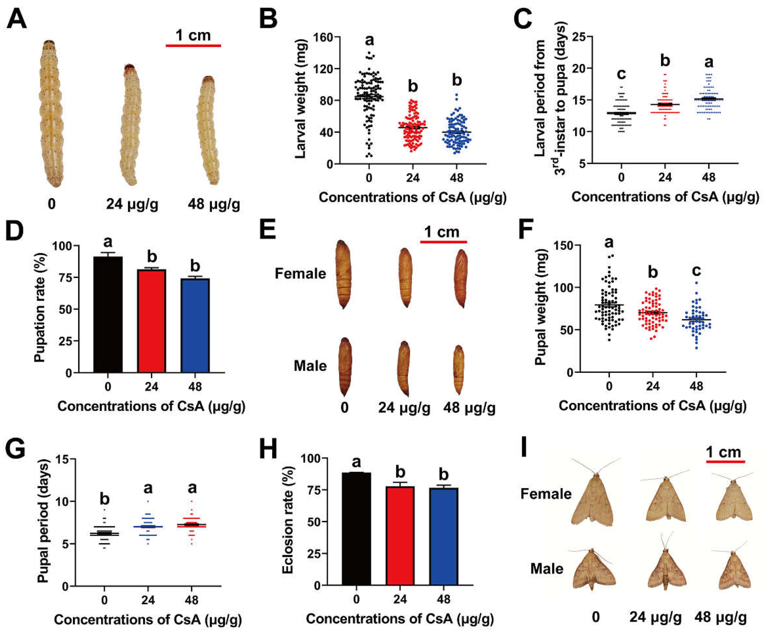 Insects 13 00965 g001