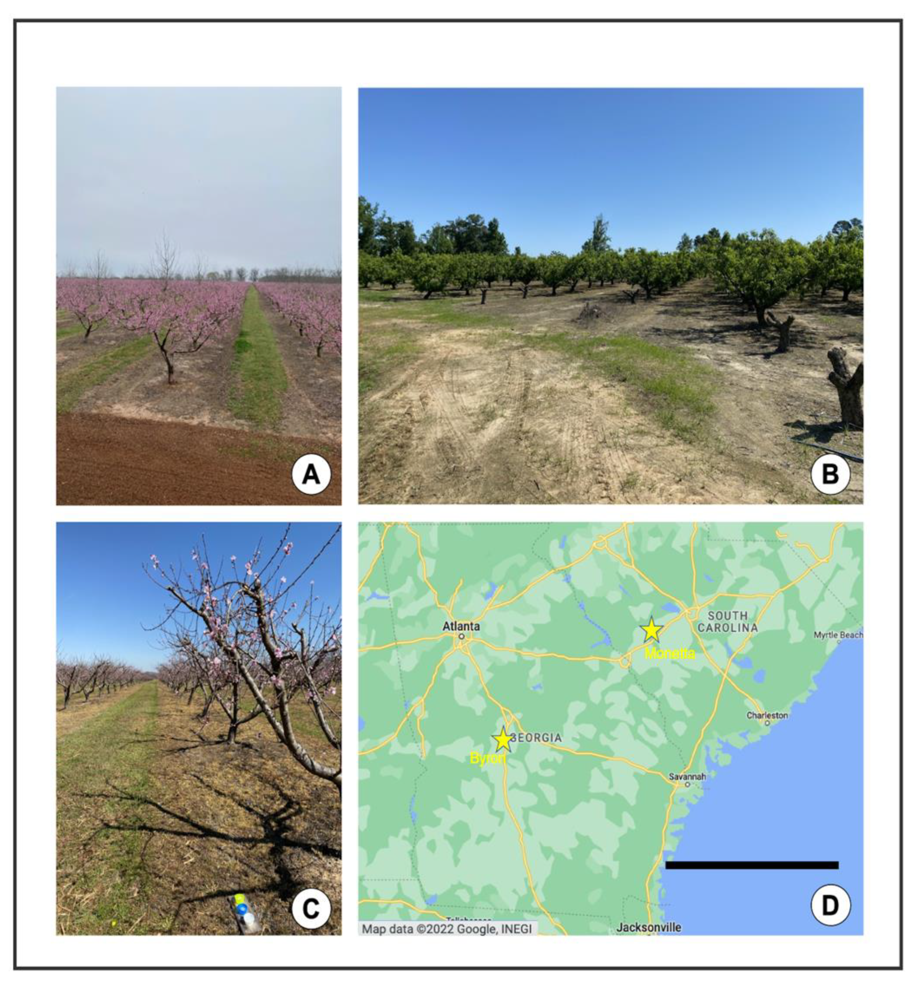 Insects 13 00970 g002