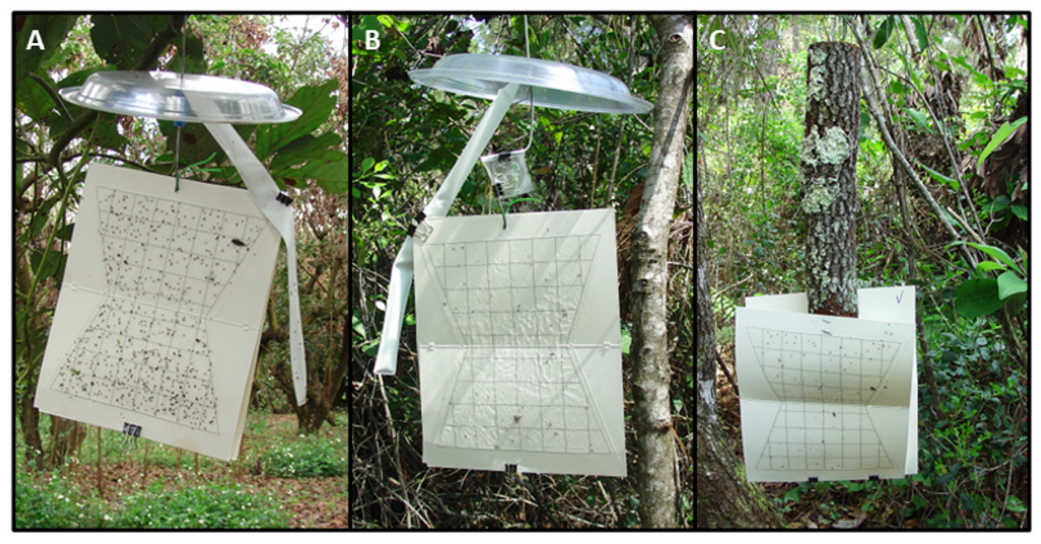 Insects 13 00971 g001