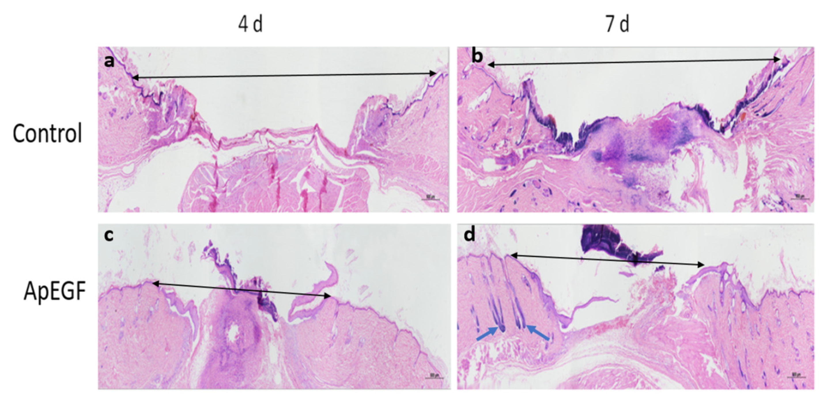 Insects 13 00975 g007