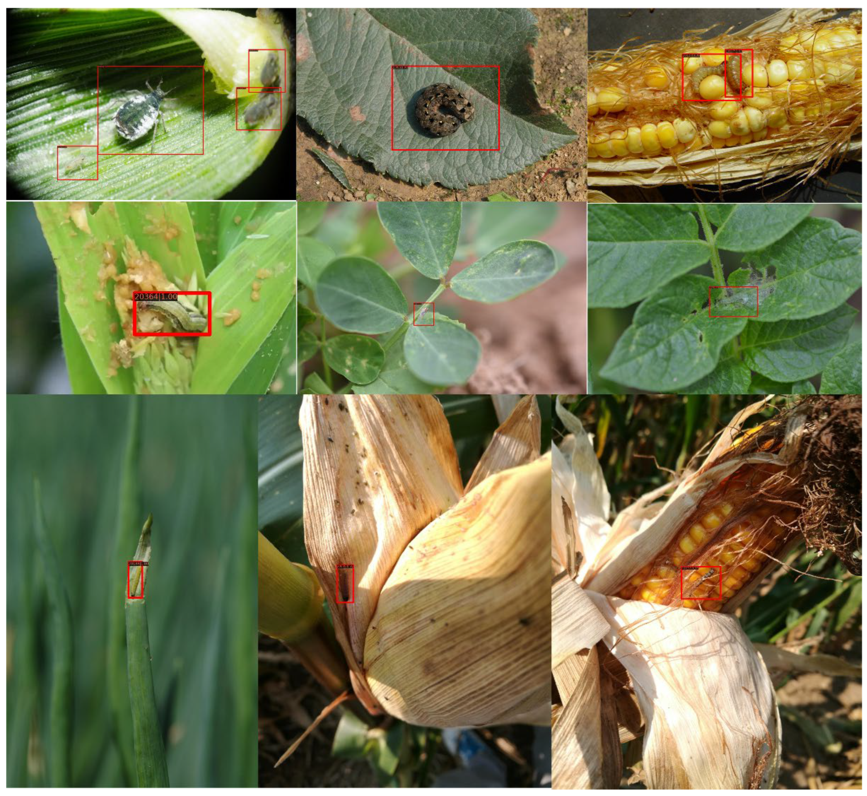 Insects 13 00978 g005