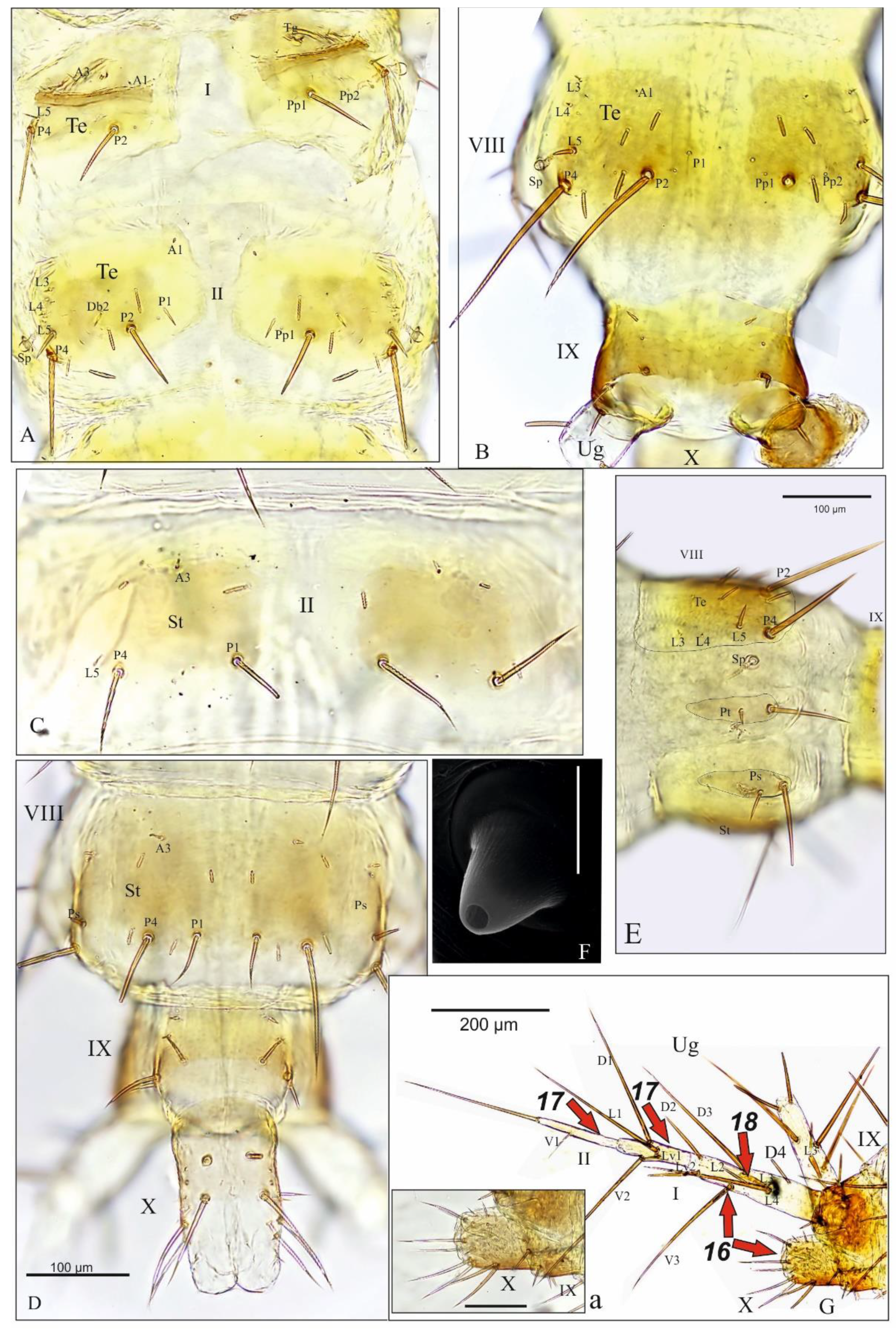 Insects 13 00982 g006