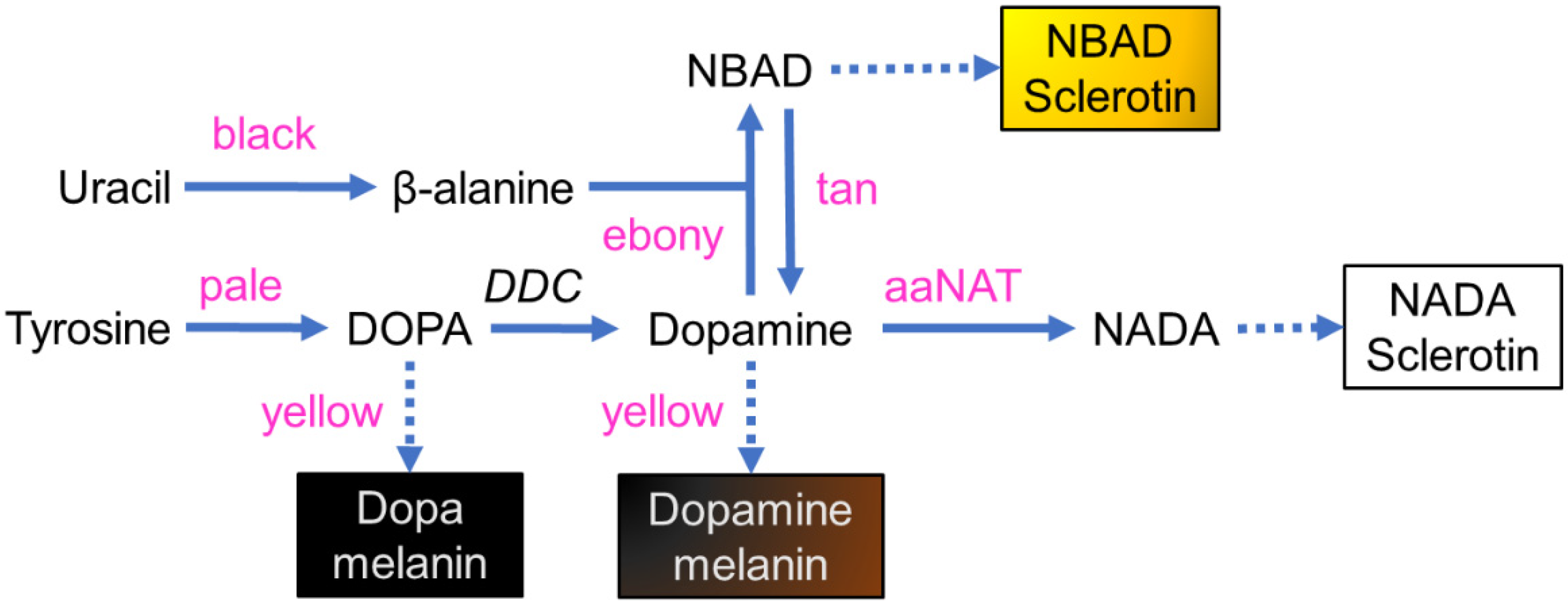 Insects 13 00986 g001