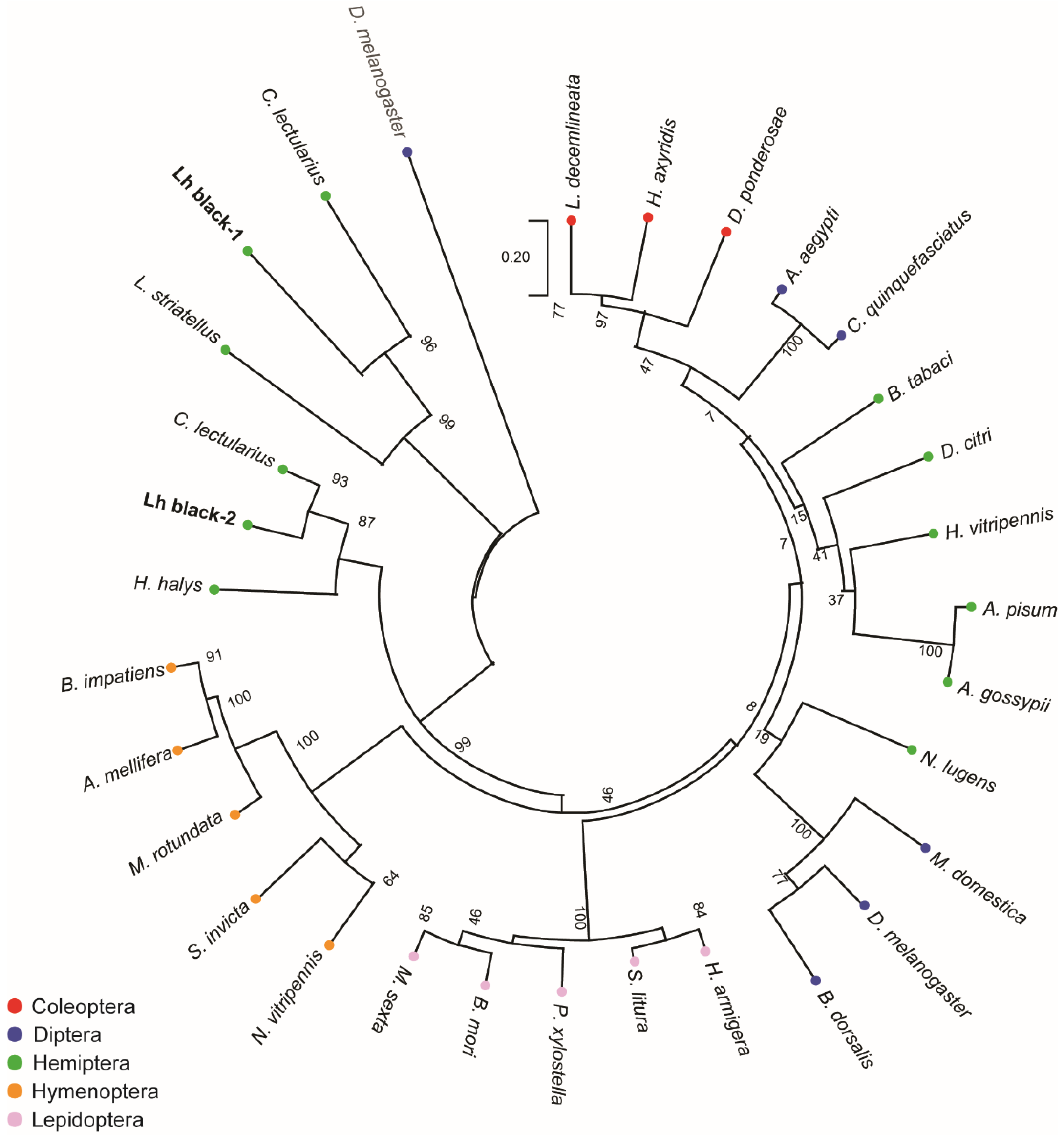 Insects 13 00986 g002