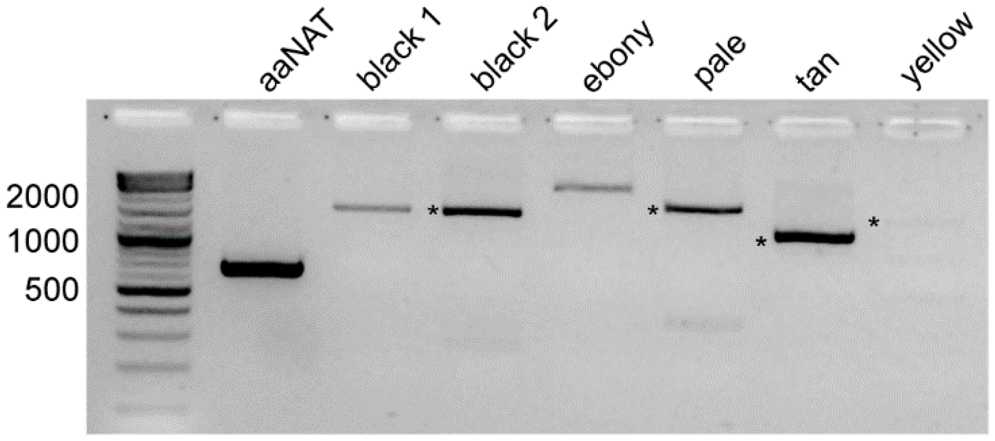 Insects 13 00986 g003