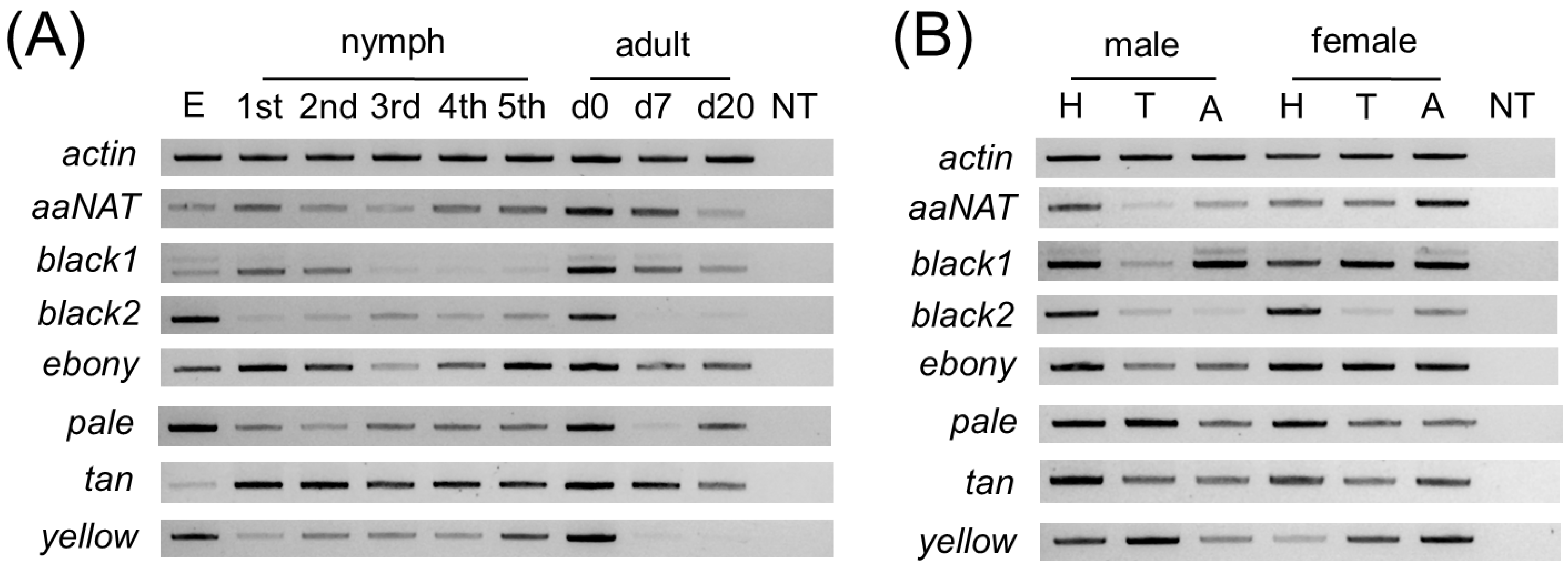 Insects 13 00986 g004