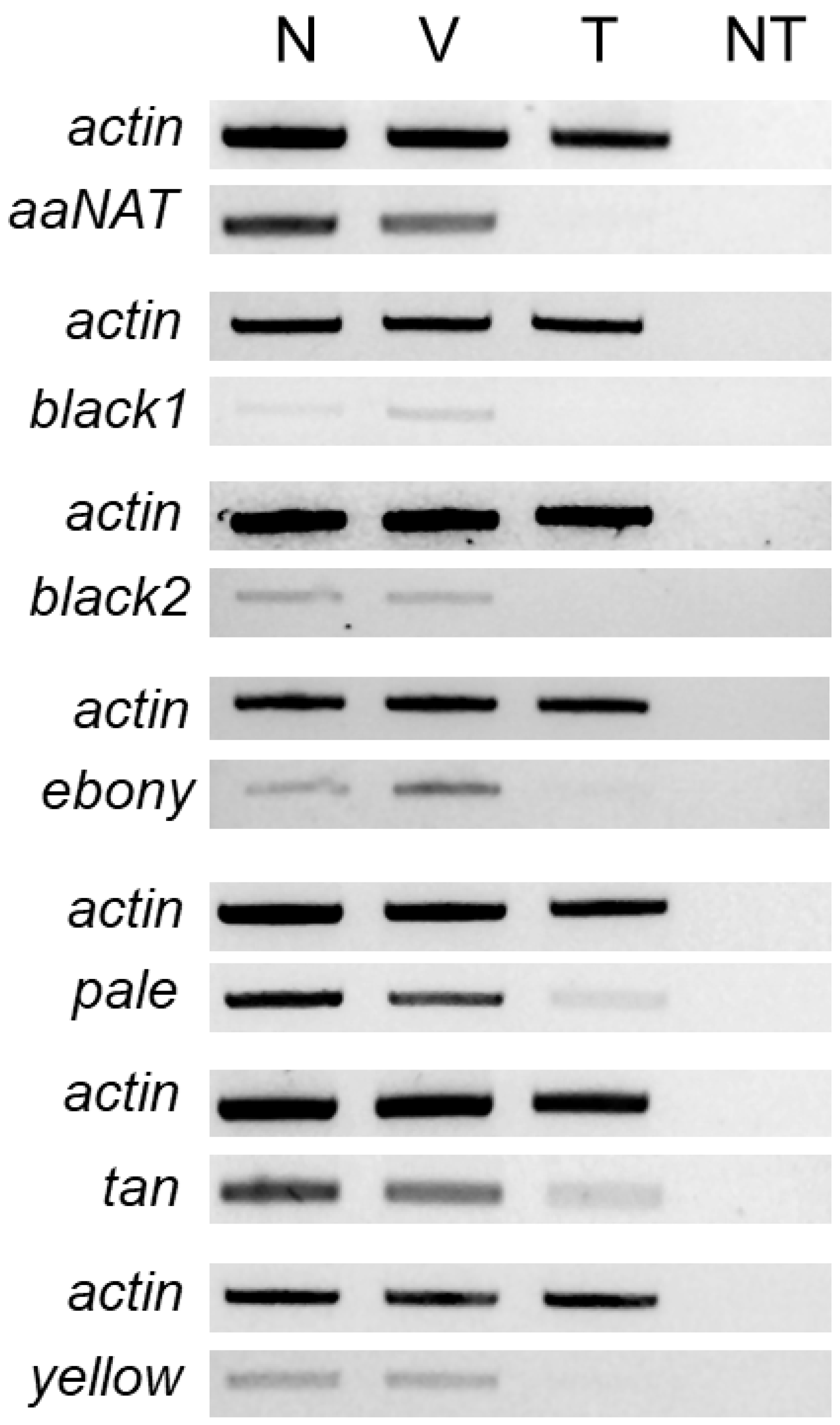 Insects 13 00986 g005