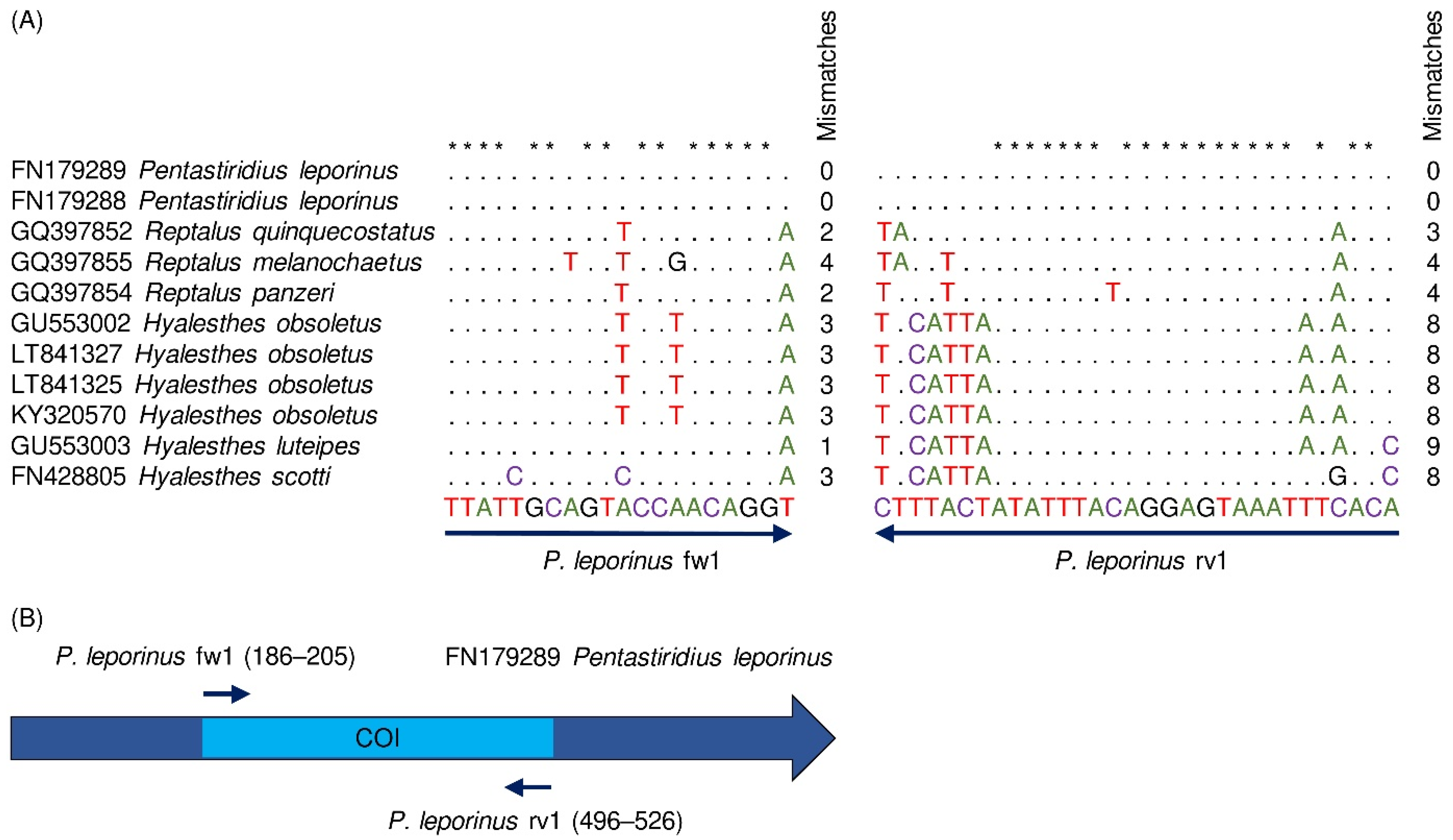 Insects 13 00992 g002