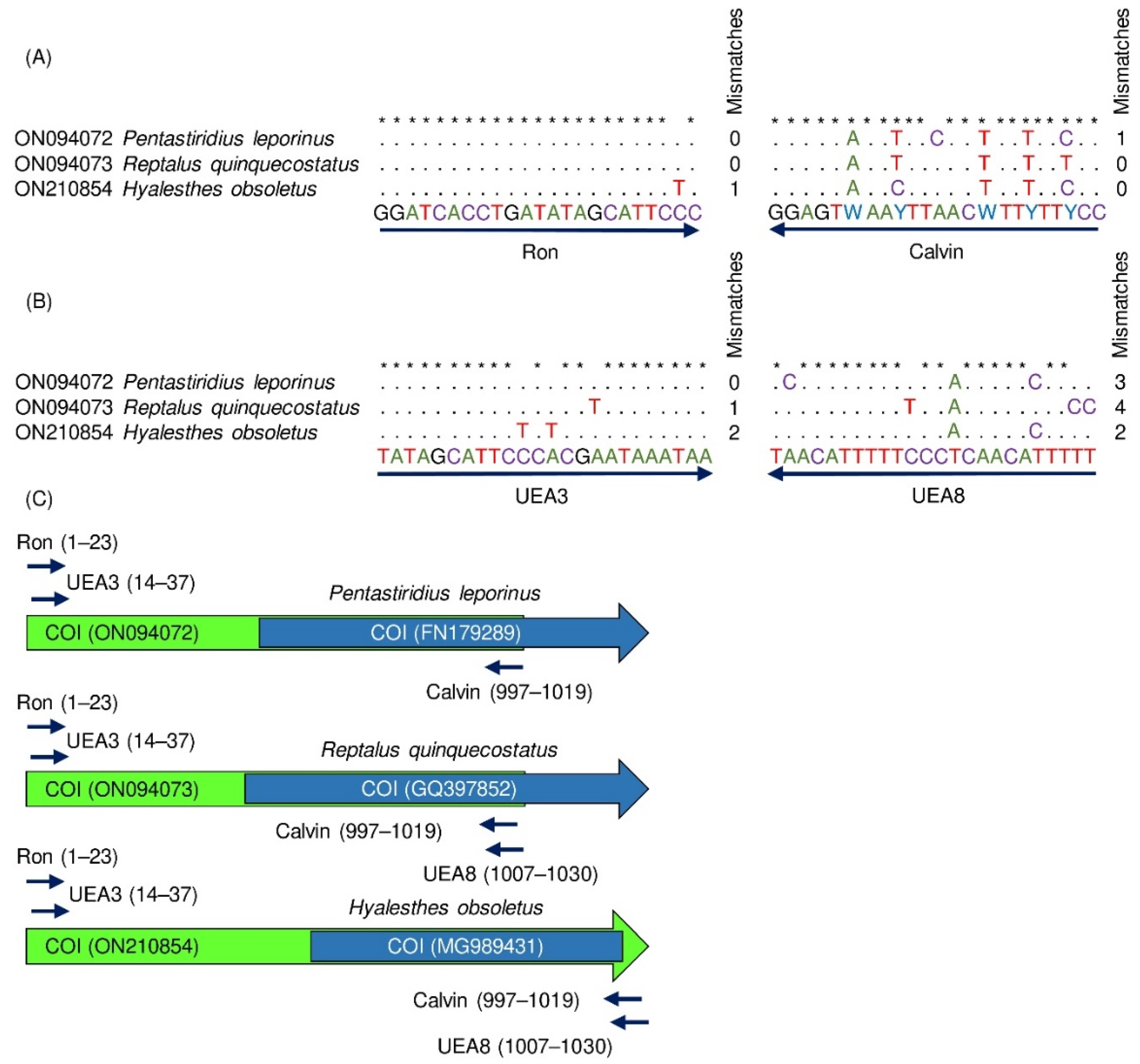 Insects 13 00992 g003