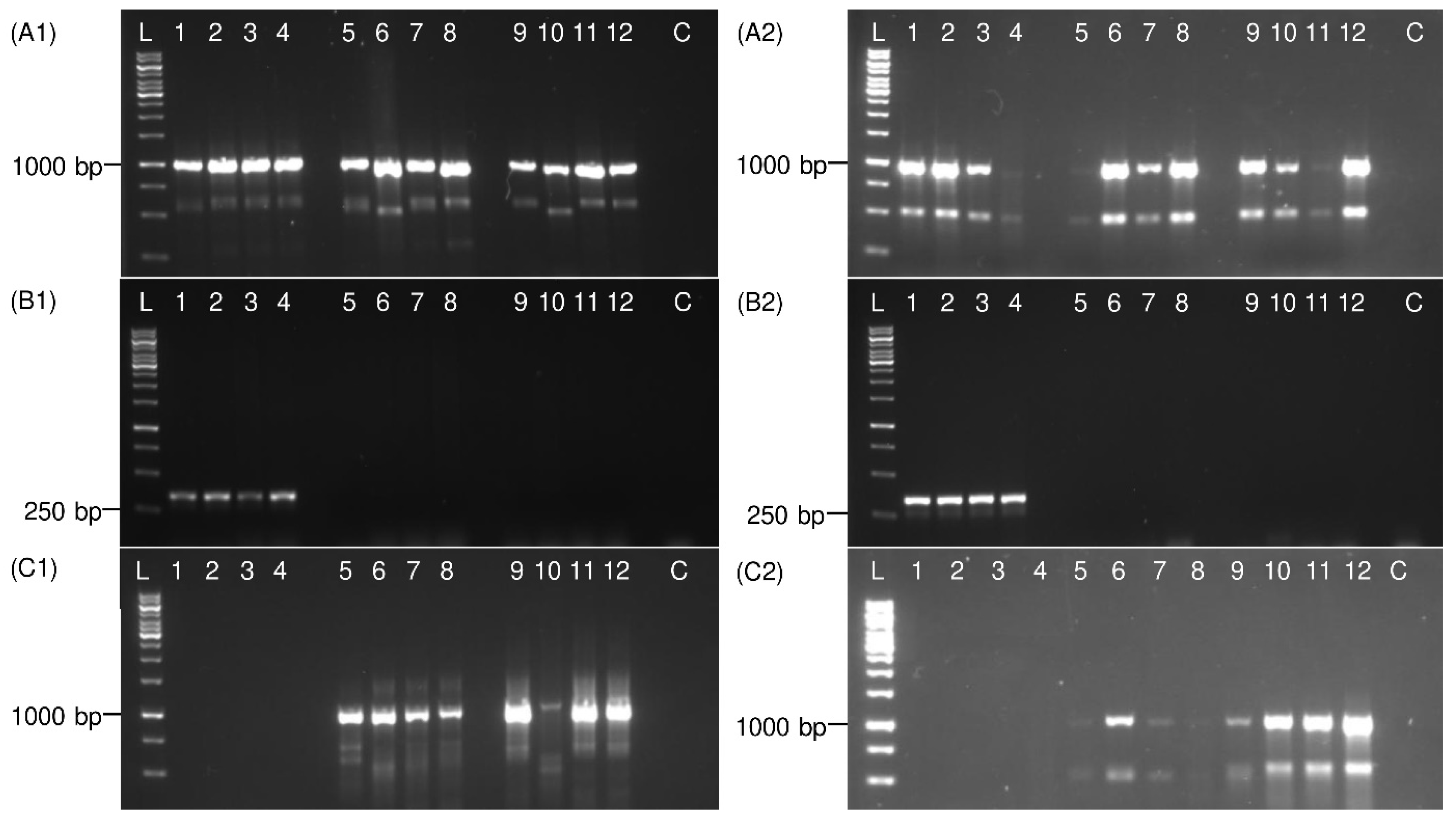 Insects 13 00992 g004