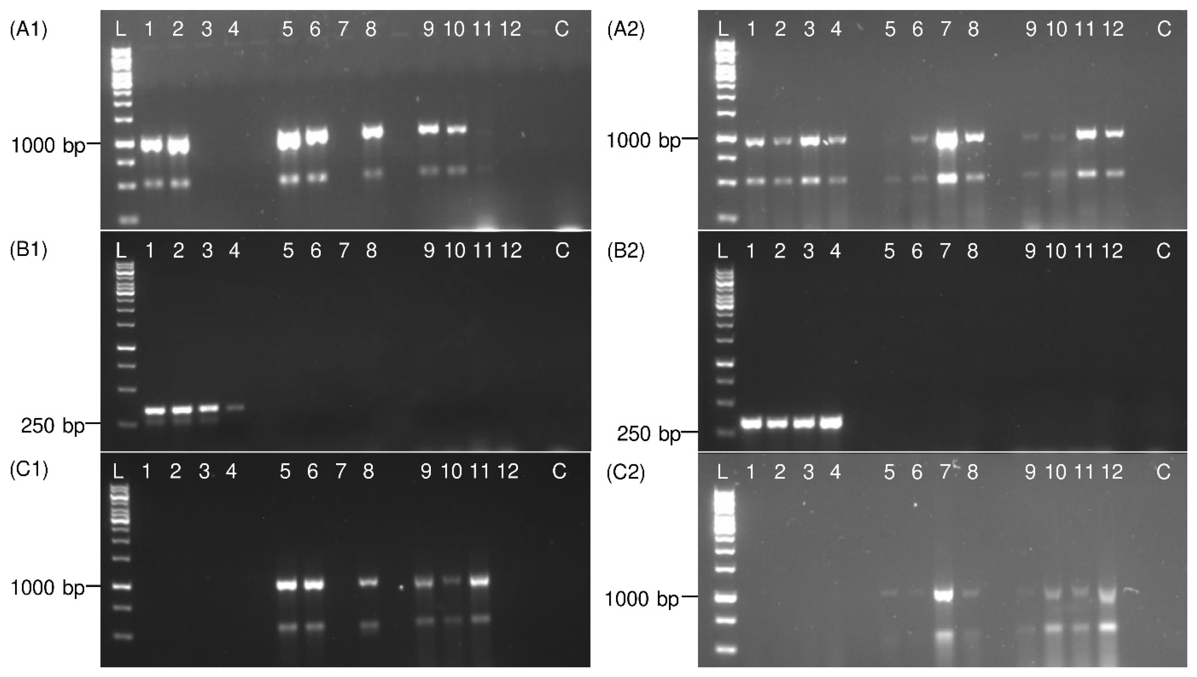 Insects 13 00992 g005