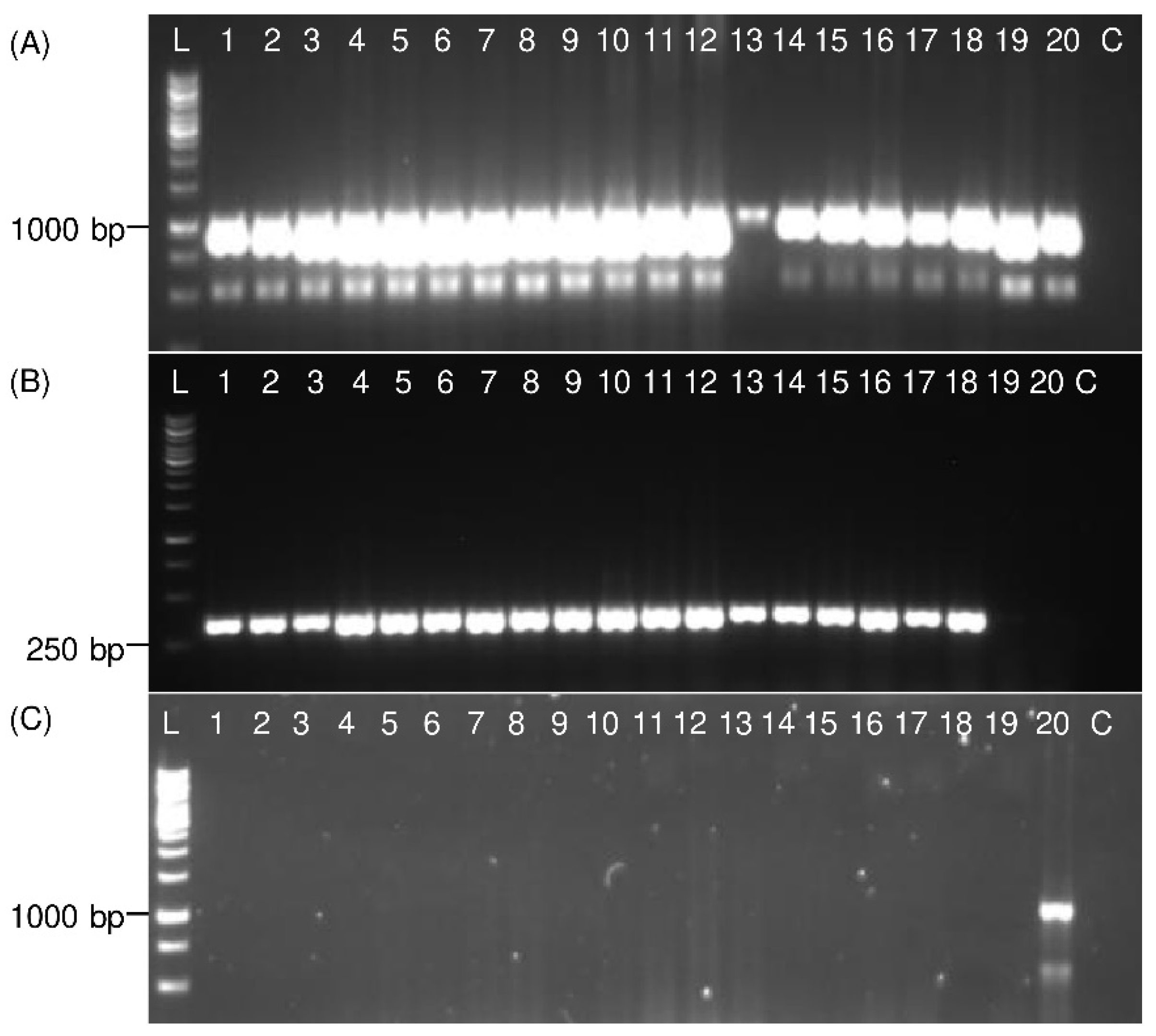 Insects 13 00992 g006