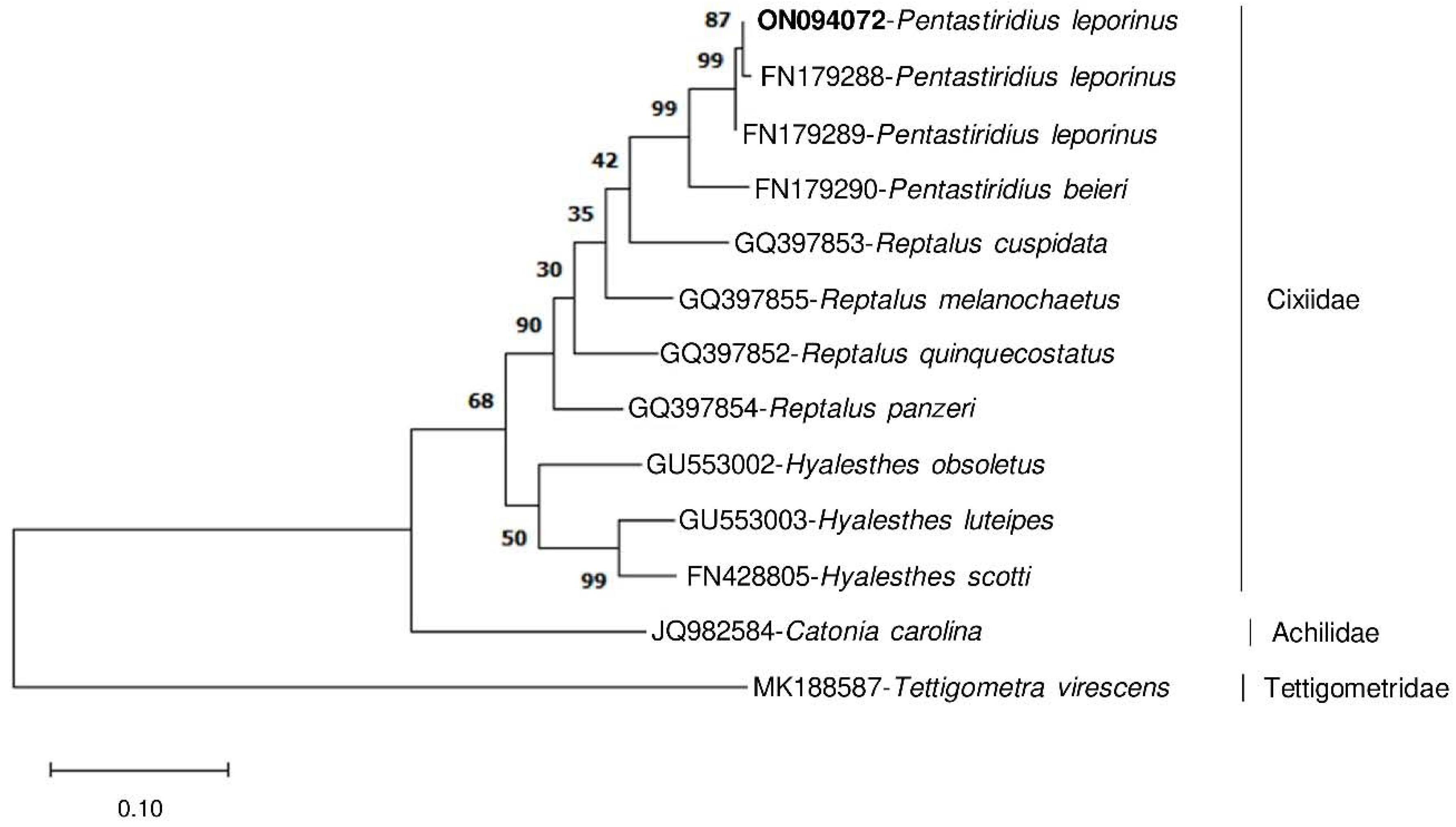 Insects 13 00992 g007