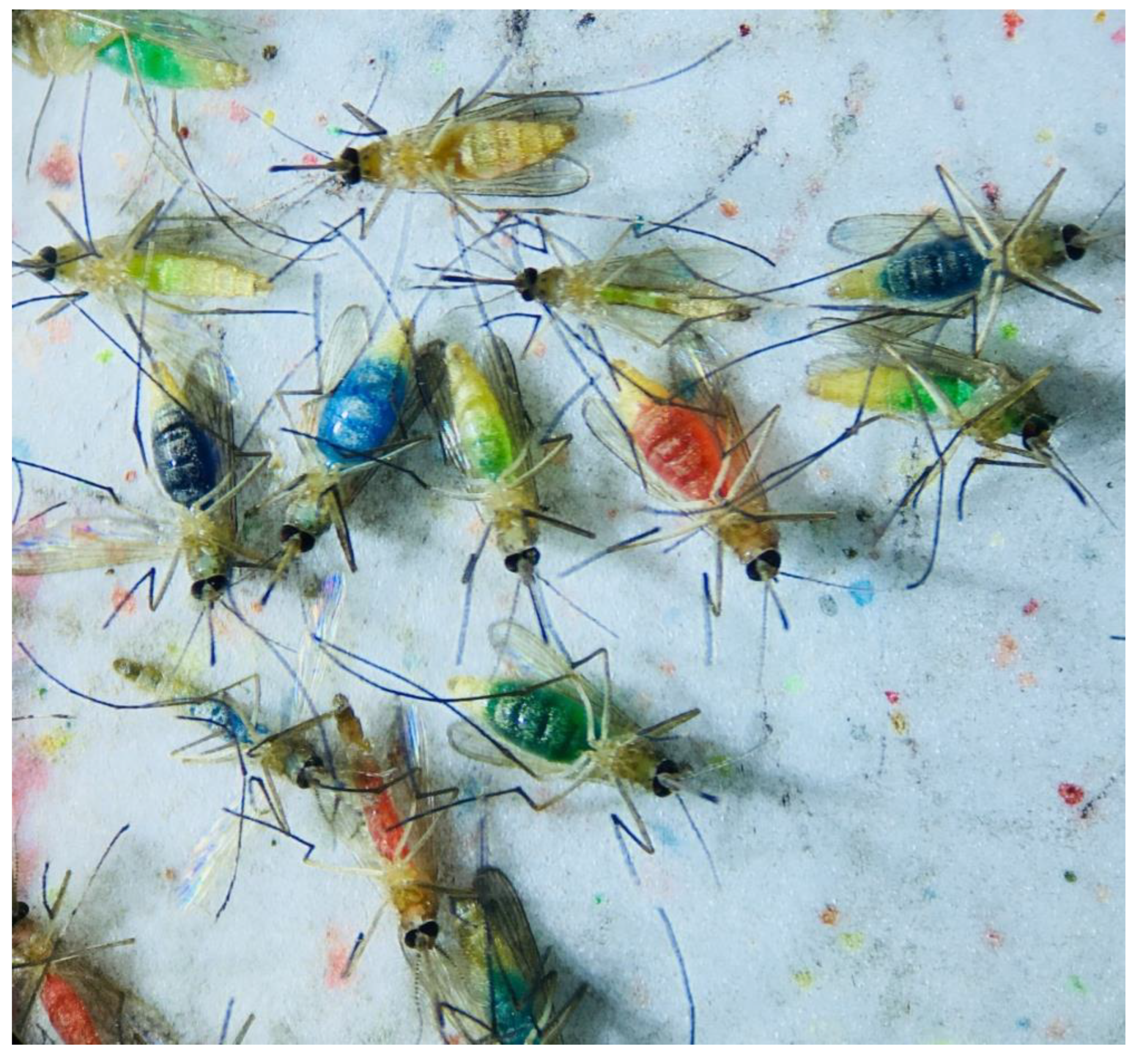 Insects 13 00993 g003