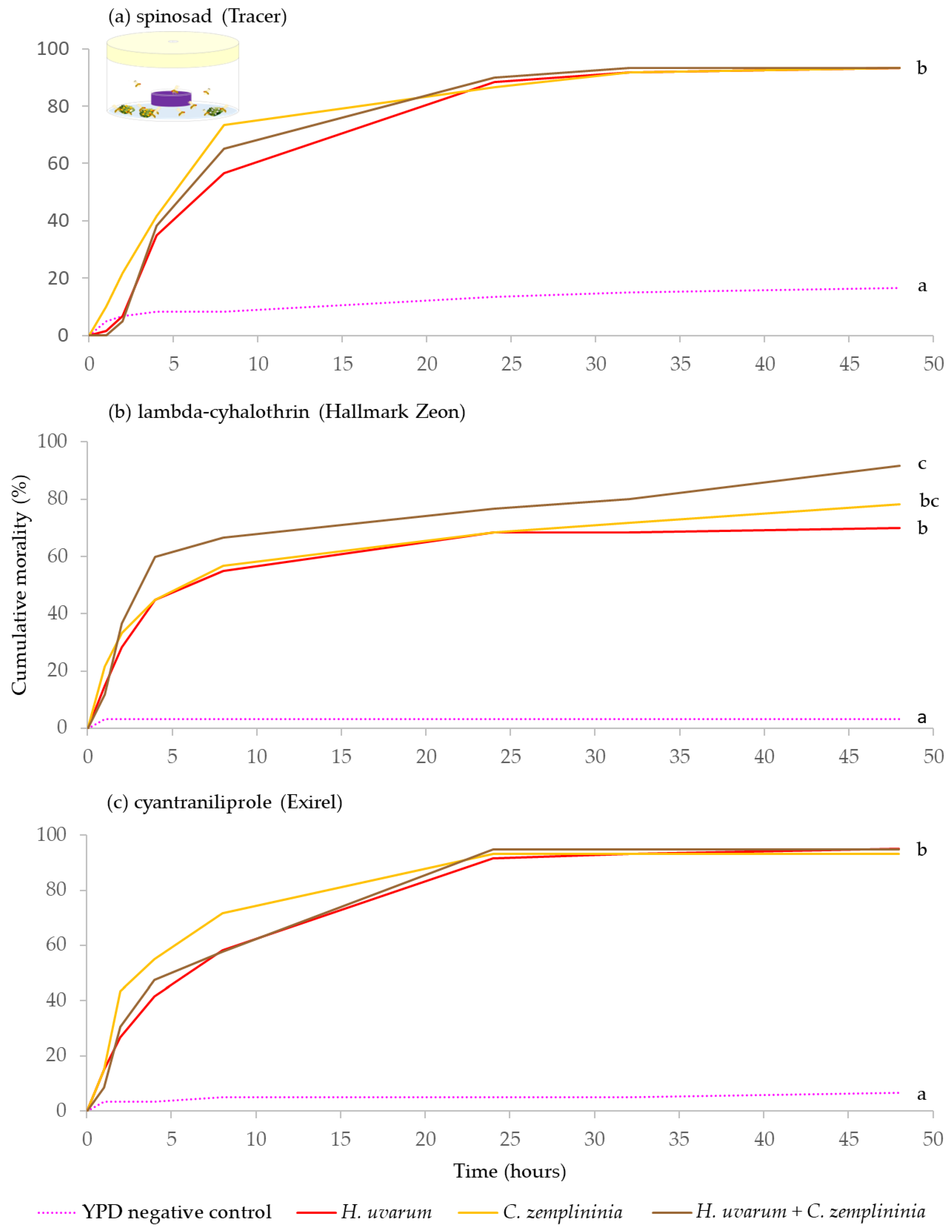 Insects 13 00995 g002