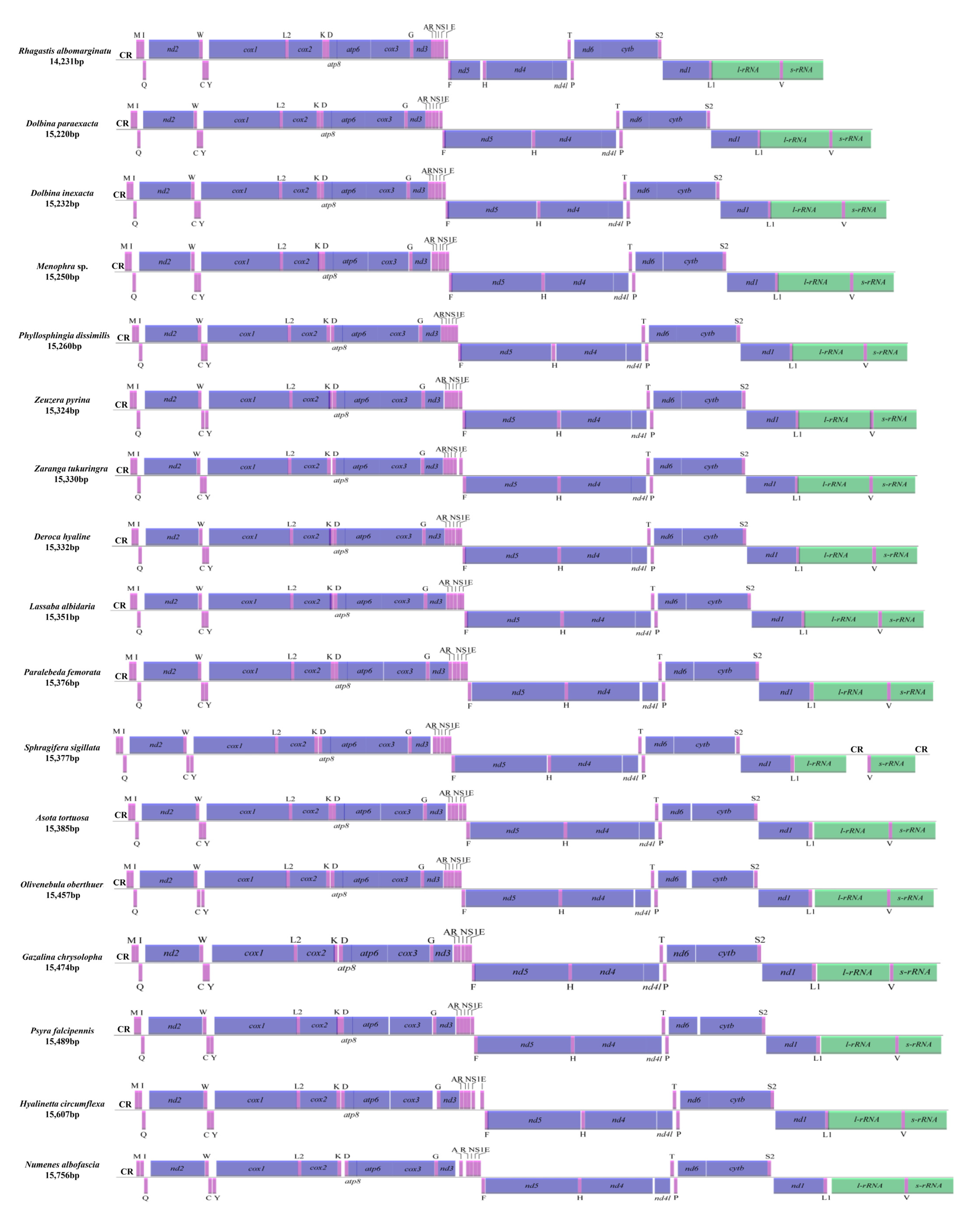 Insects 13 00998 g001