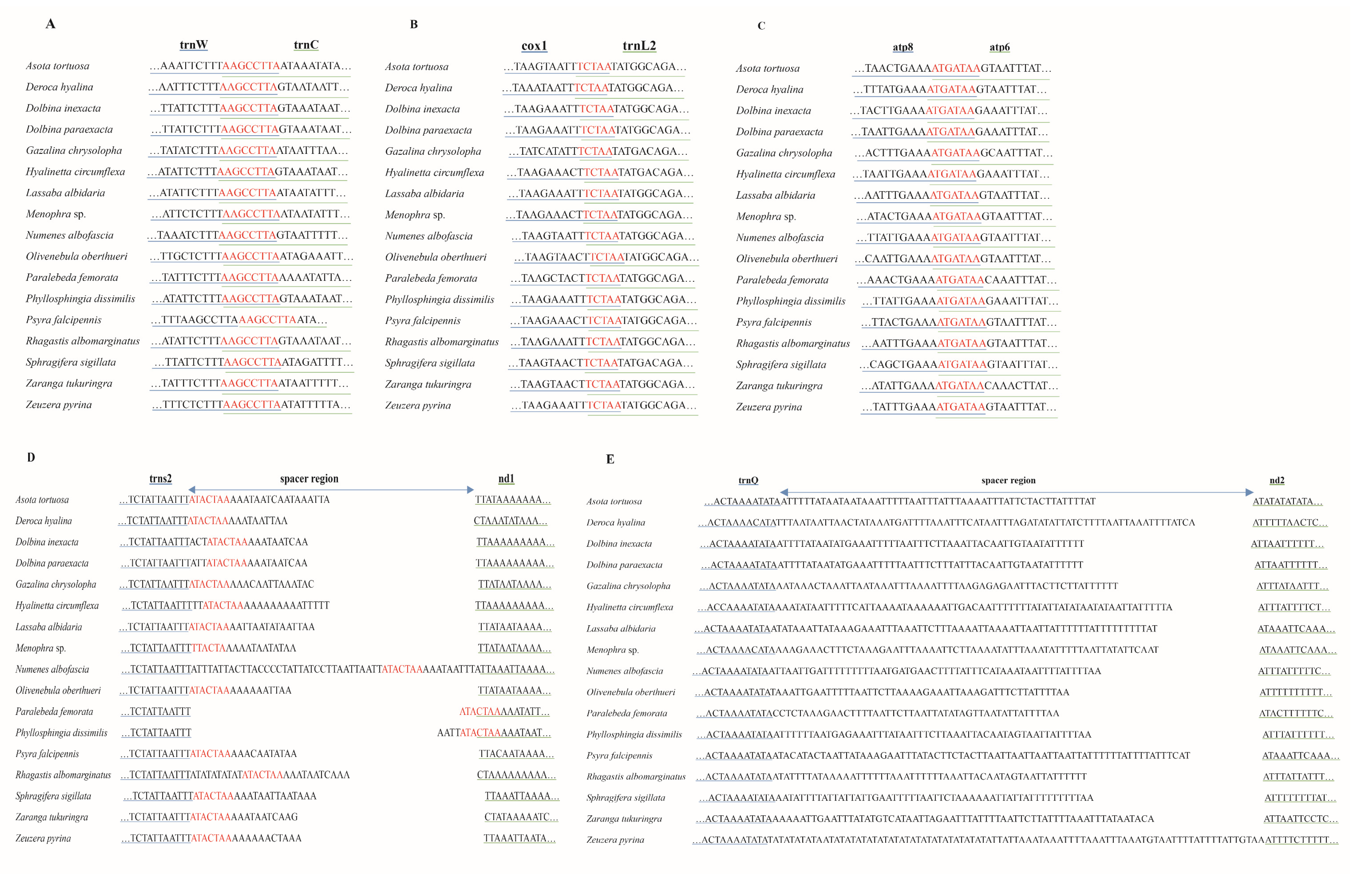 Insects 13 00998 g004