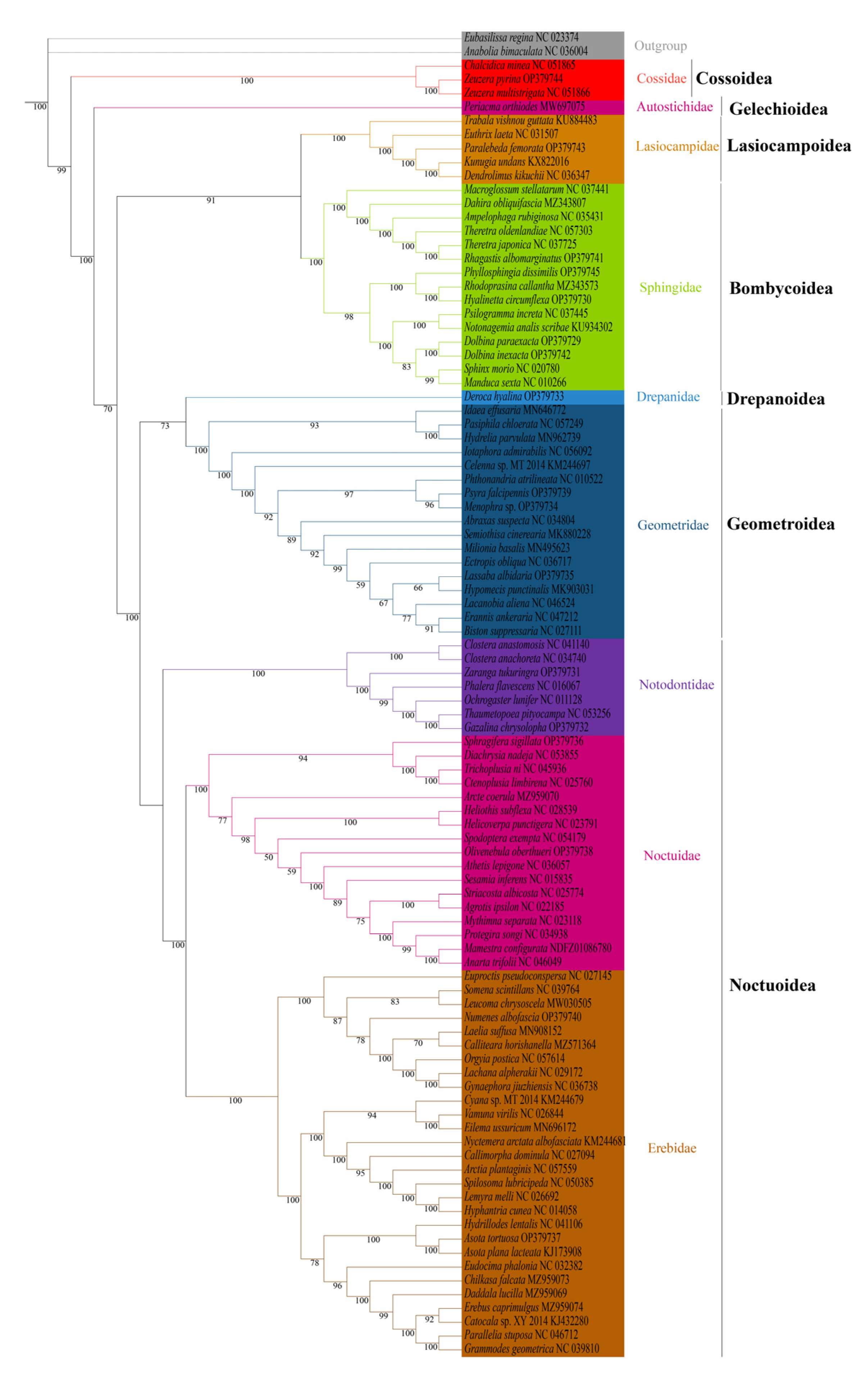 Insects 13 00998 g006