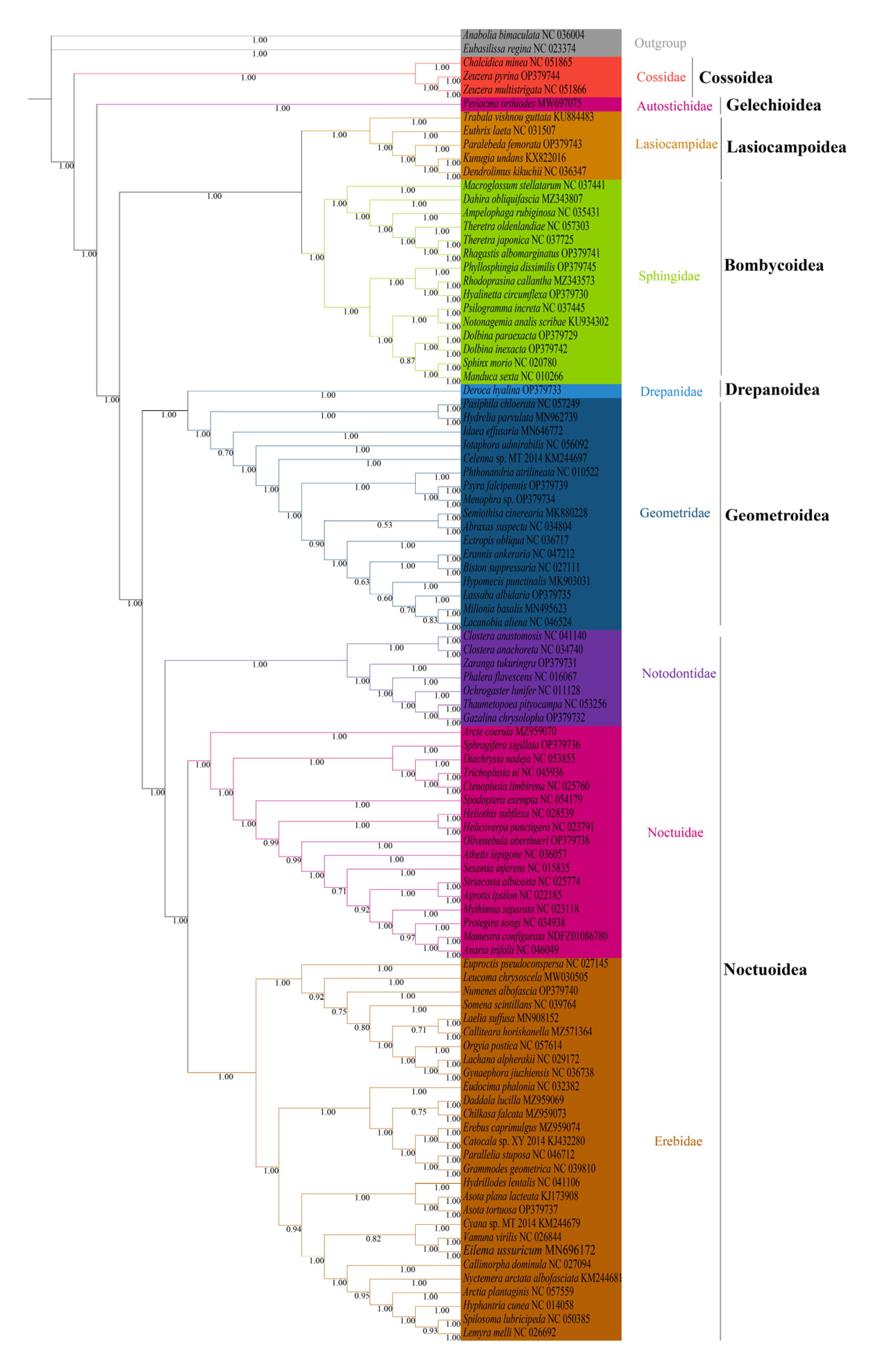 Insects 13 00998 g007