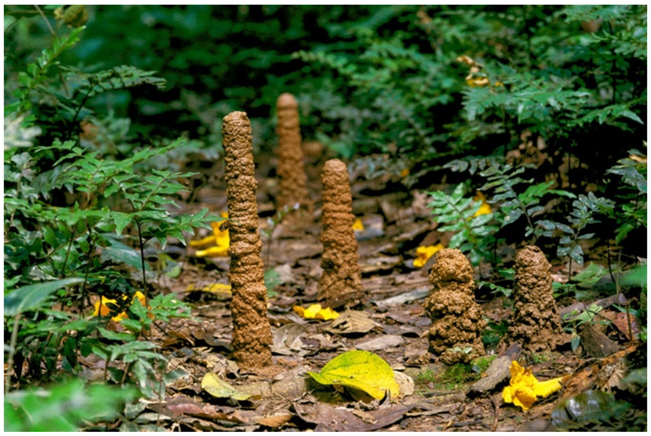 Insects 13 01001 g006