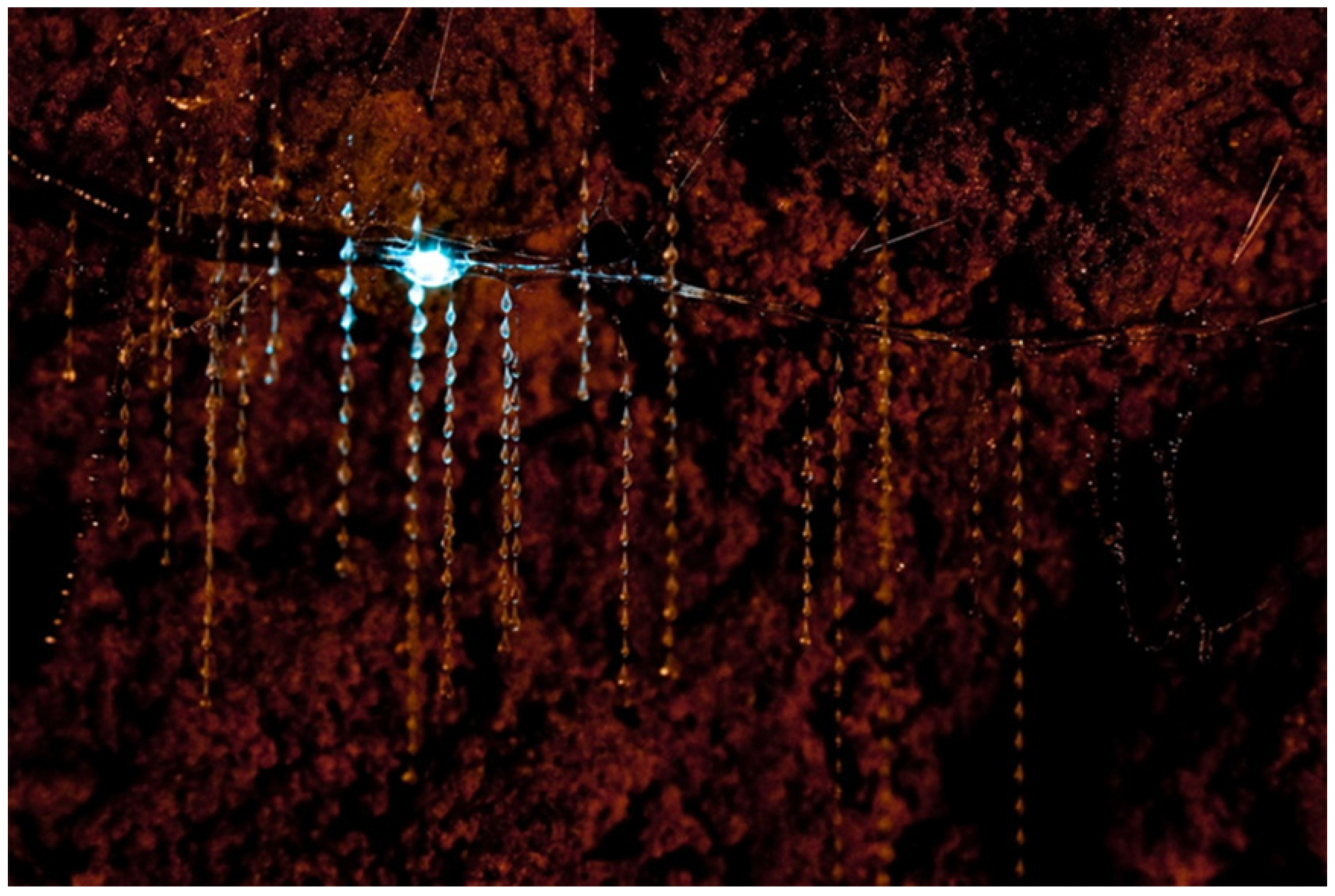 Insects 13 01001 g008