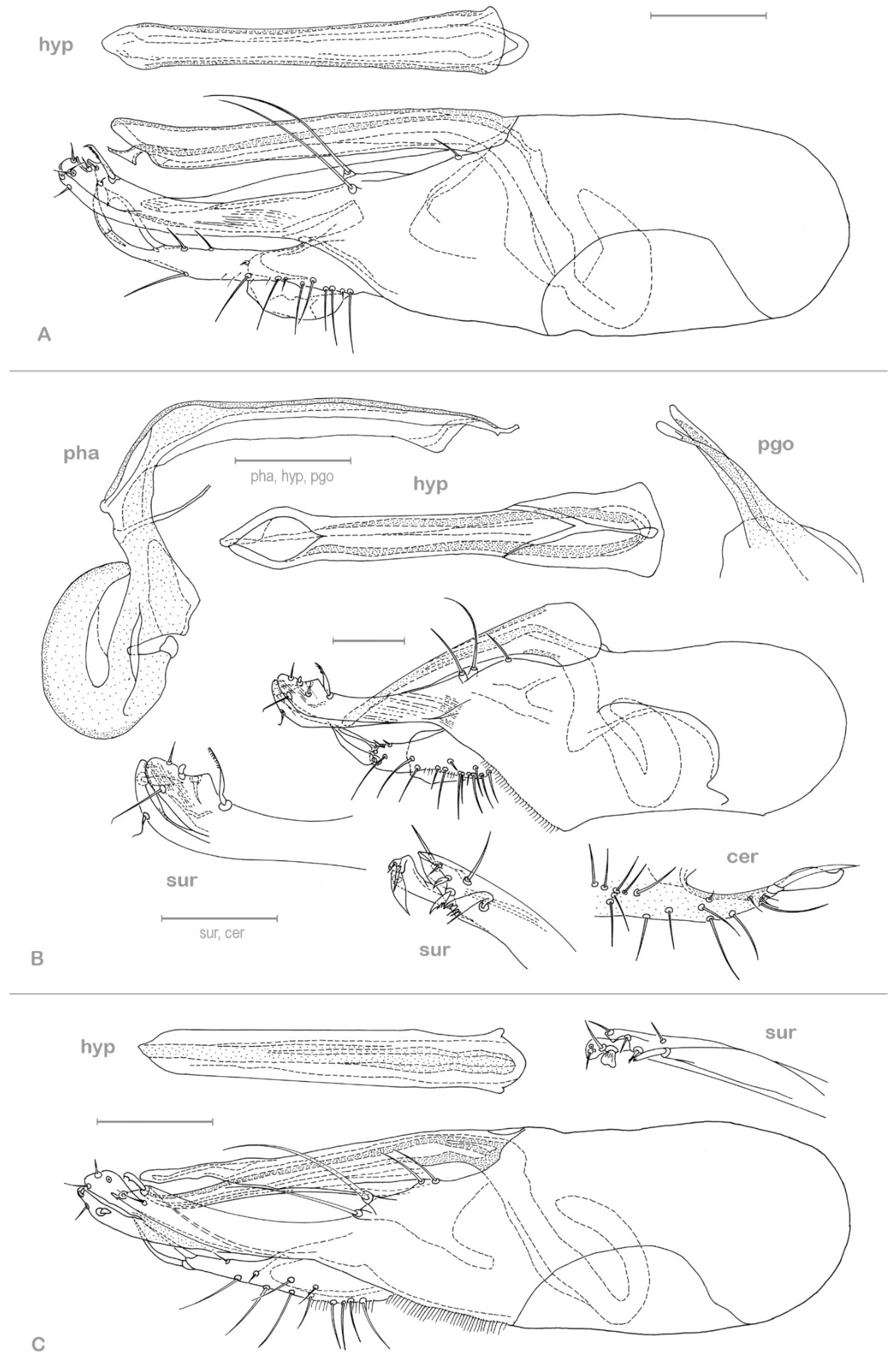 Insects 13 01012 g007