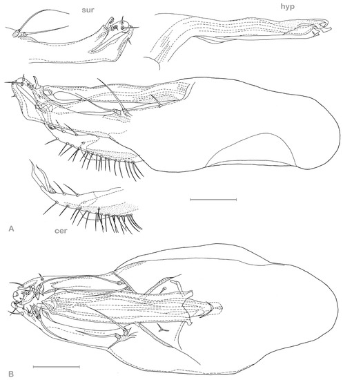 Insects 13 01012 g009