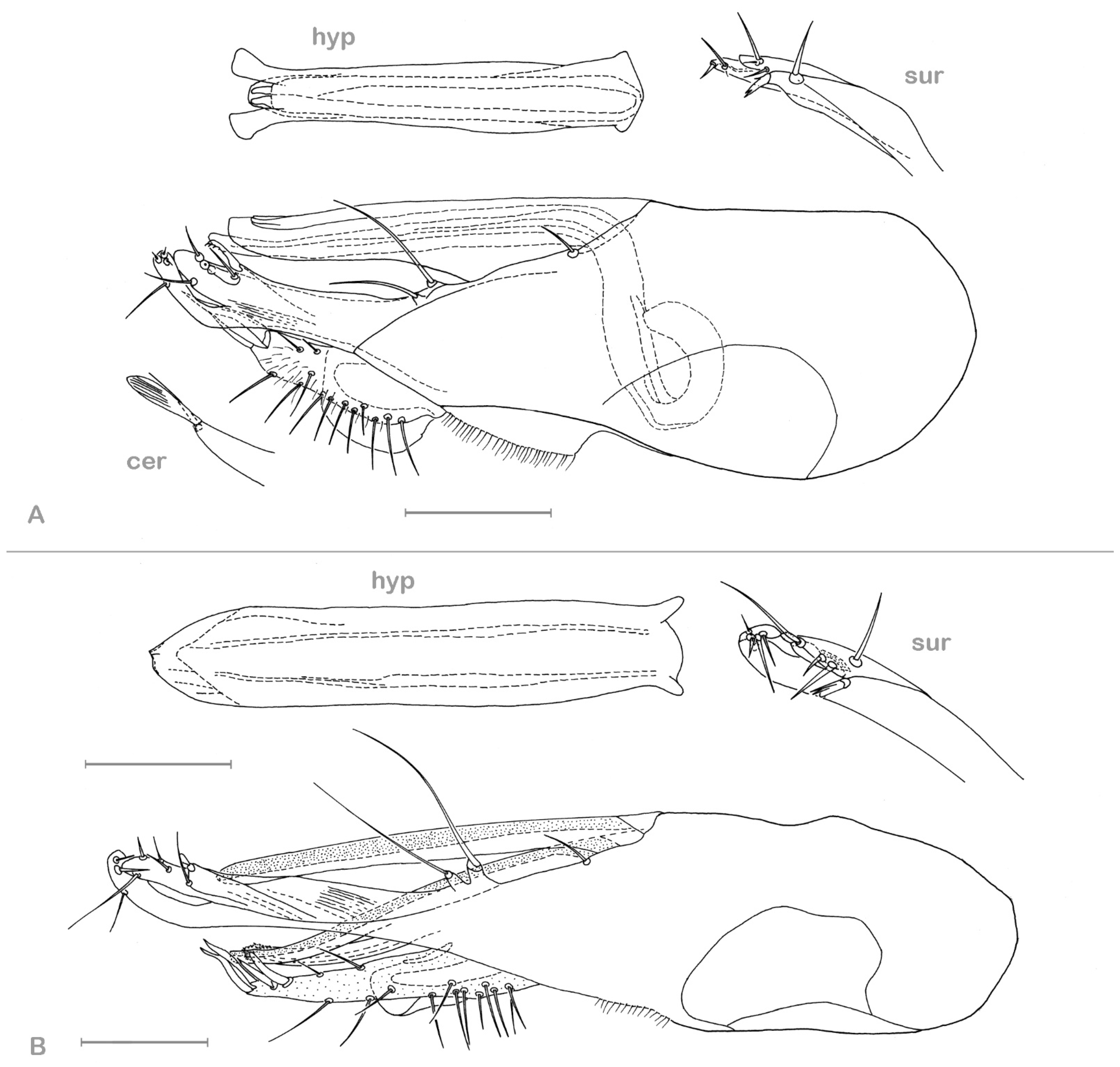 Insects 13 01012 g011