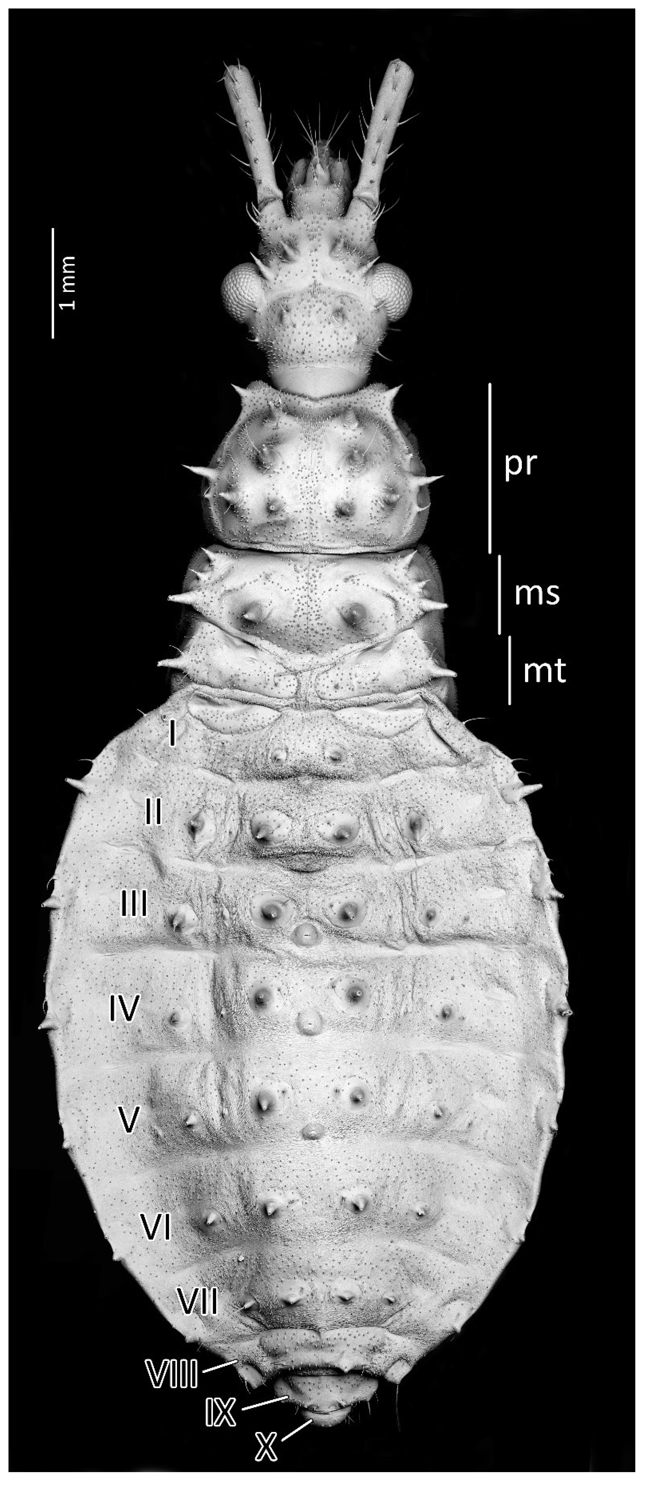 Insects 13 01014 g008